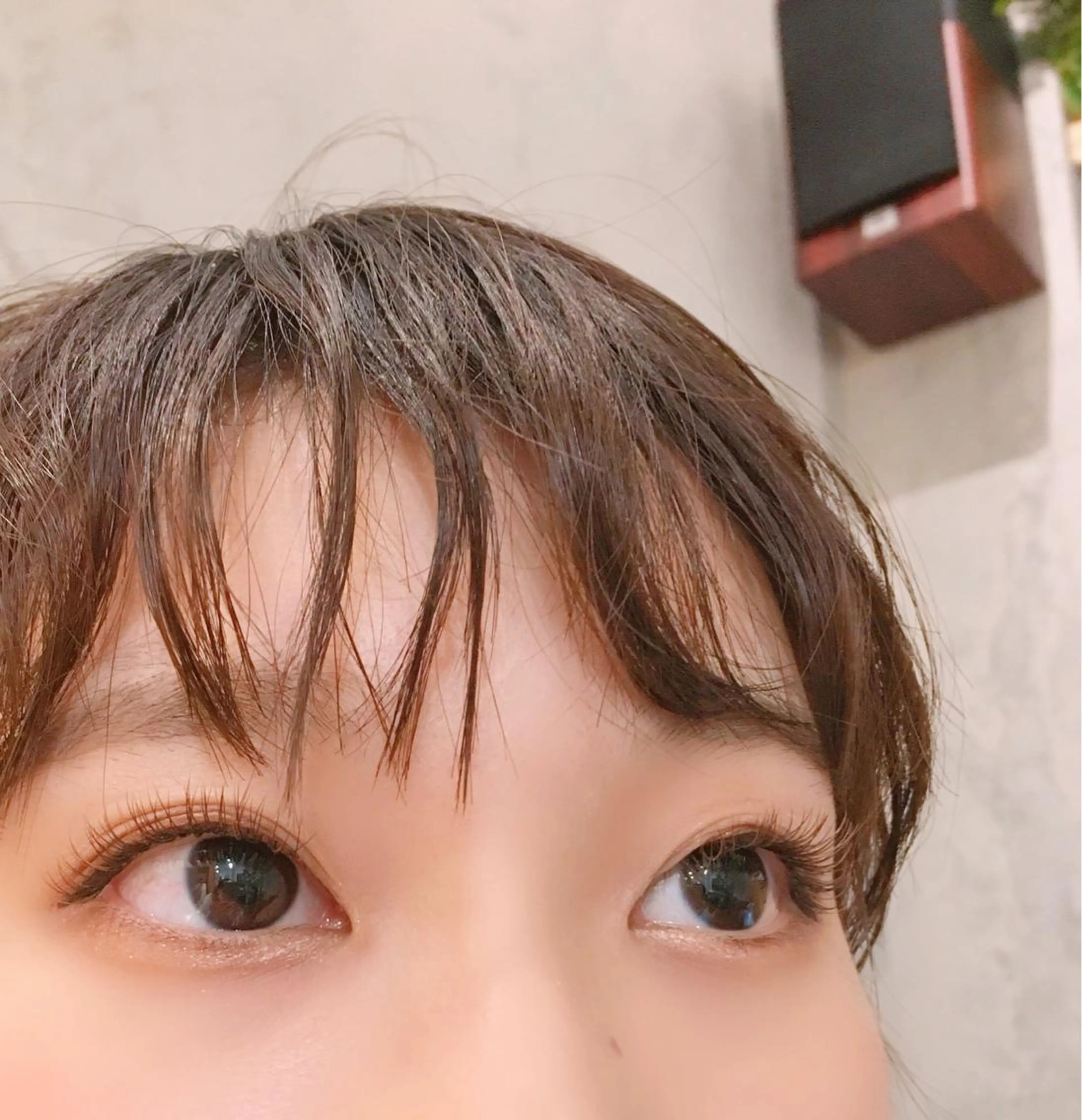 マツエク・マツパ 眉毛まつ毛専門店 uralogeのマツエク・マツパデザイン