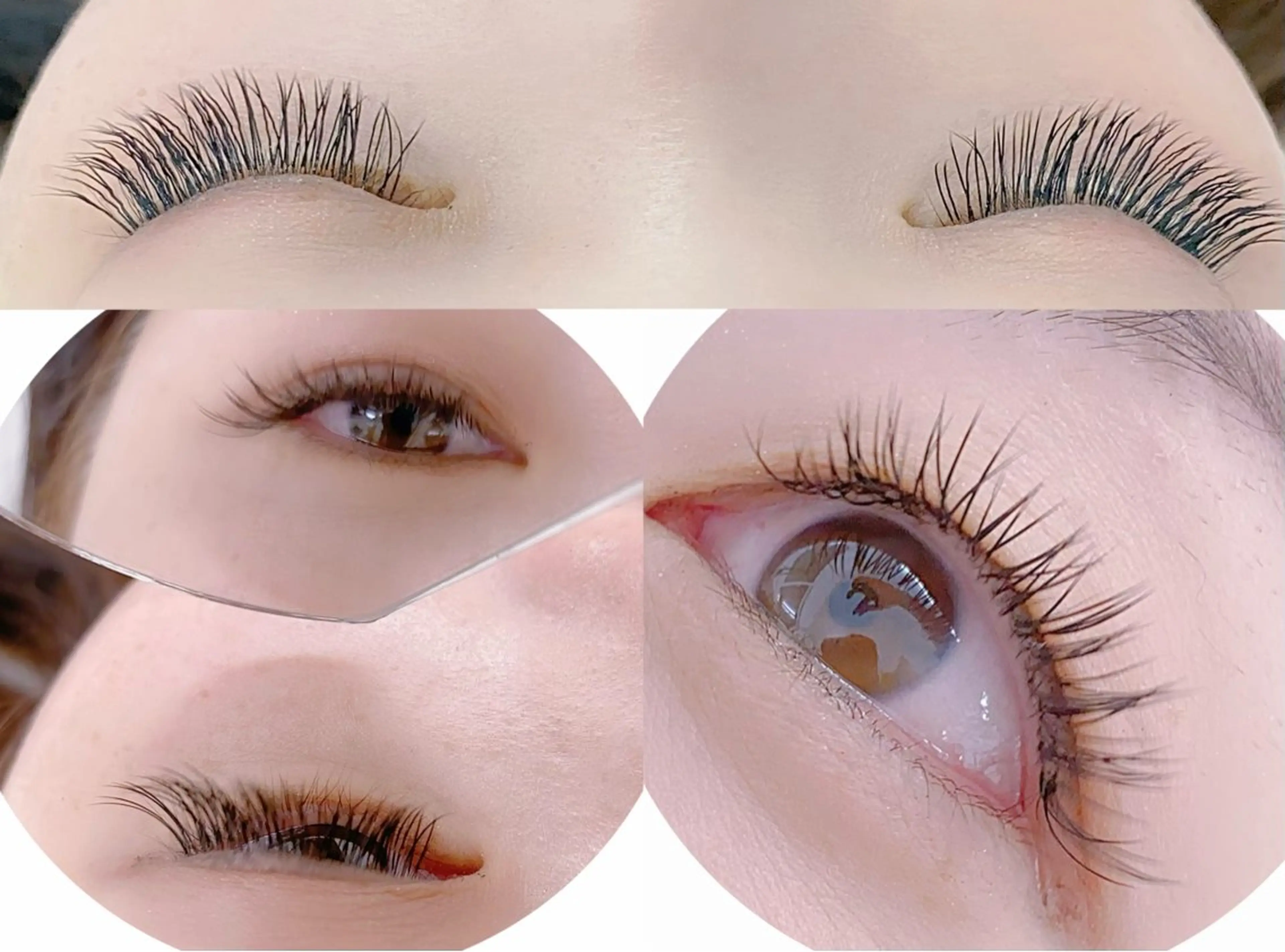 マツエク・マツパ 韓国風マツエク ワンホンマツエク 2 5のマツエク・マツパデザイン