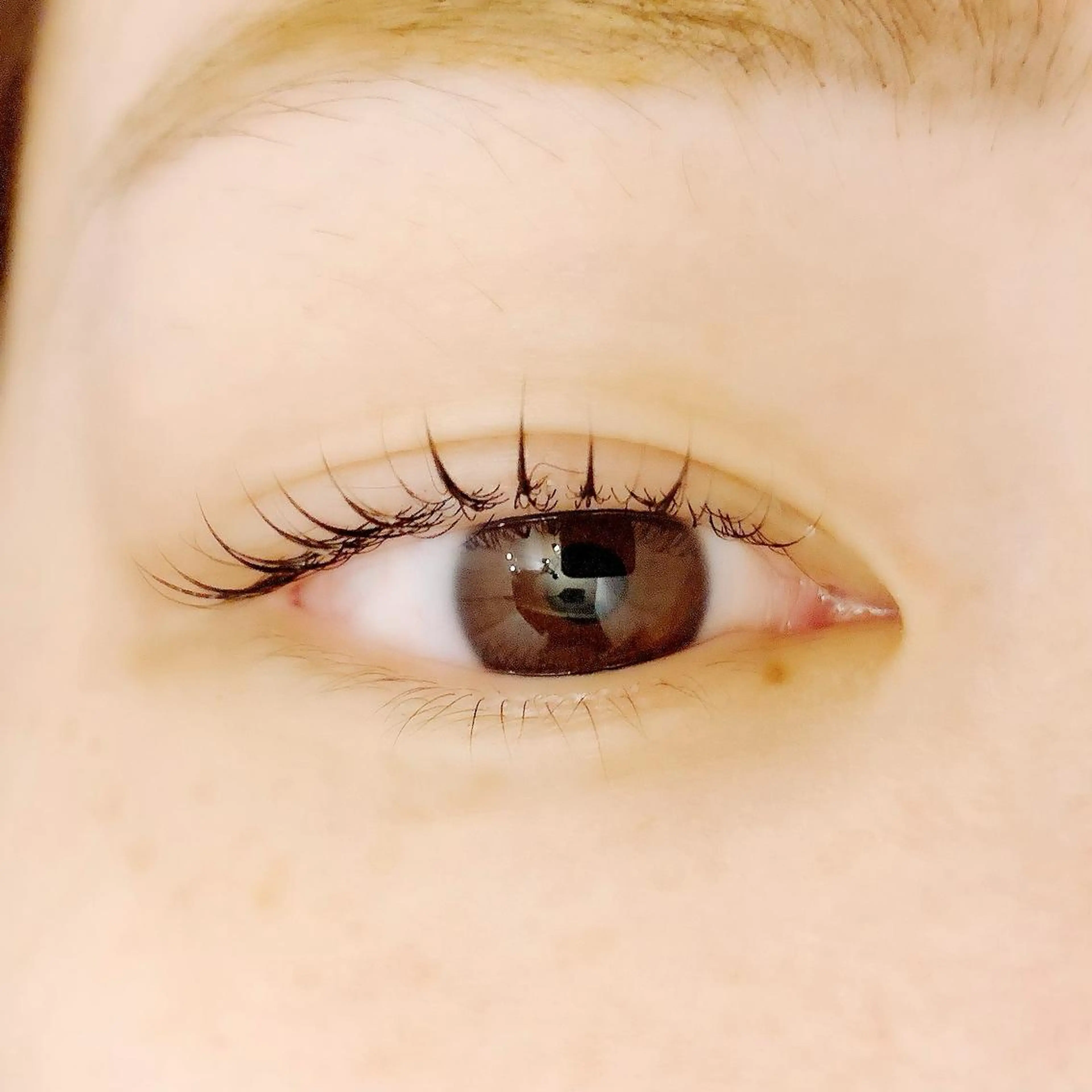 マツエク・マツパ PRANA 錦糸町 徒歩3分のマツエク・マツパデザイン