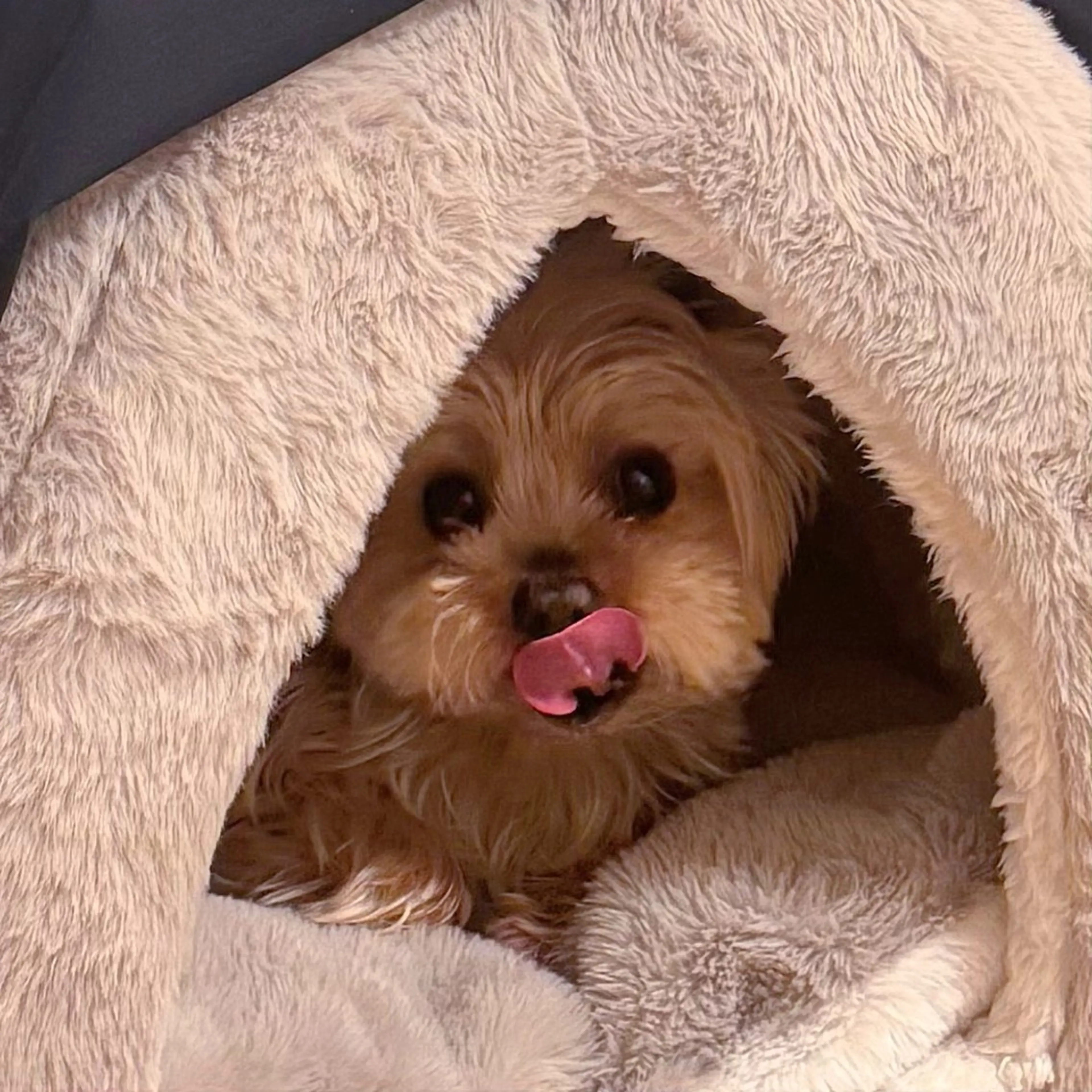 ネイル フットネイル U eのネイルデザイン