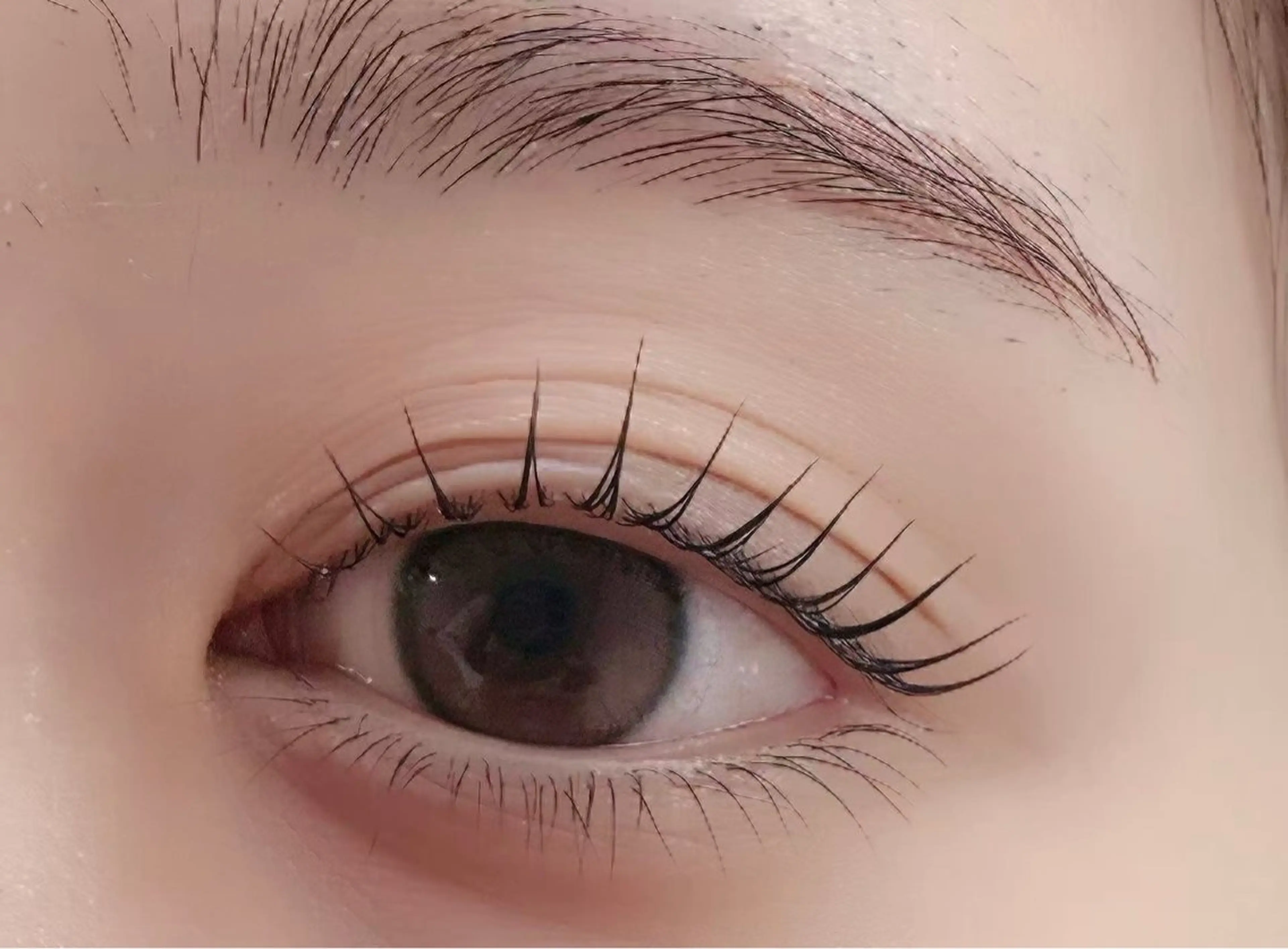 マツエク・マツパ hime. ~ルチア高田馬場店のマツエク・マツパデザイン