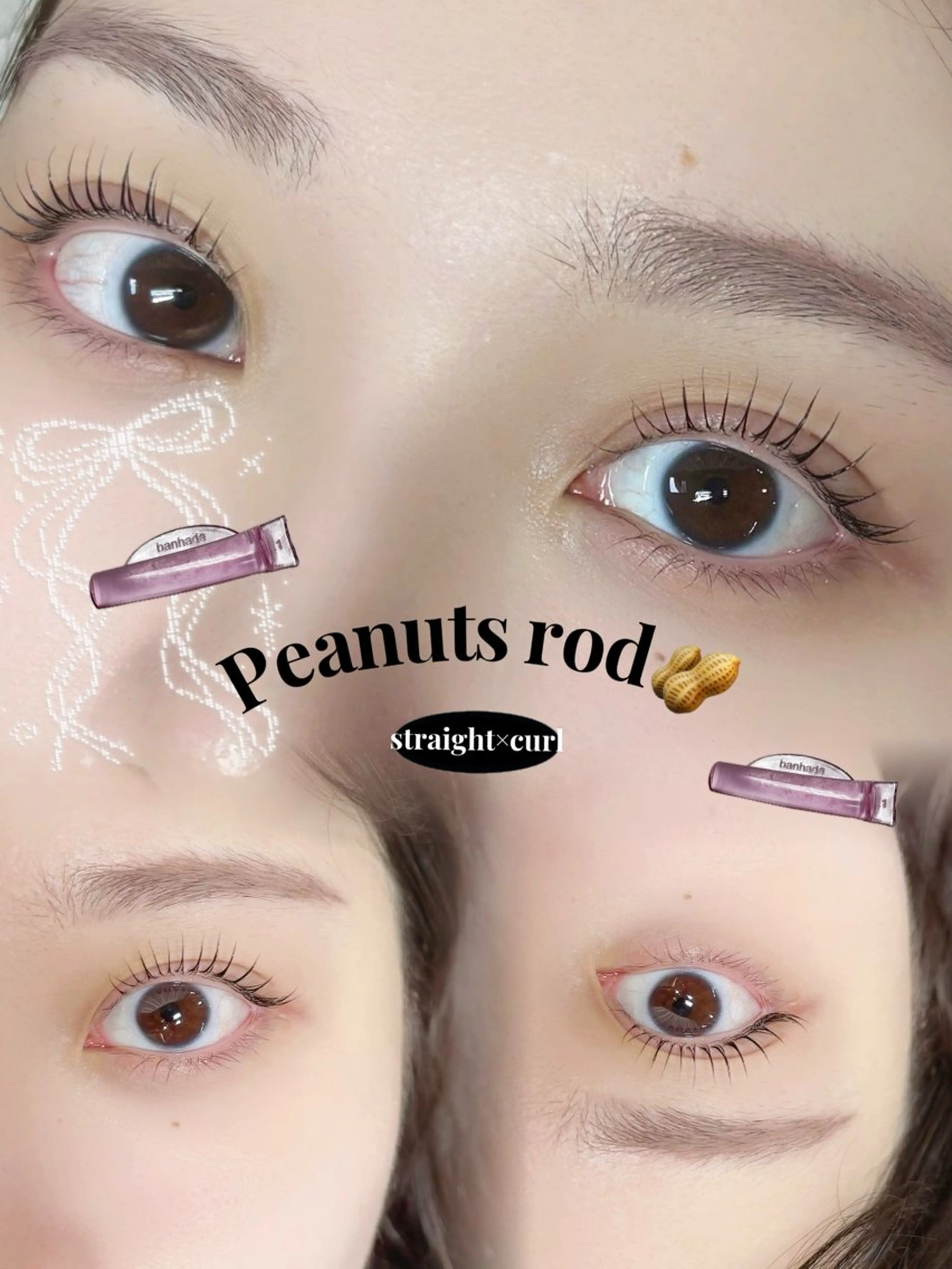 ãããšã¯ã»ããã ððªðŠðð éåœé¢š/ææ/æµæ¯å¯¿ã®ãããšã¯ã»ããããã¶ã€ã³