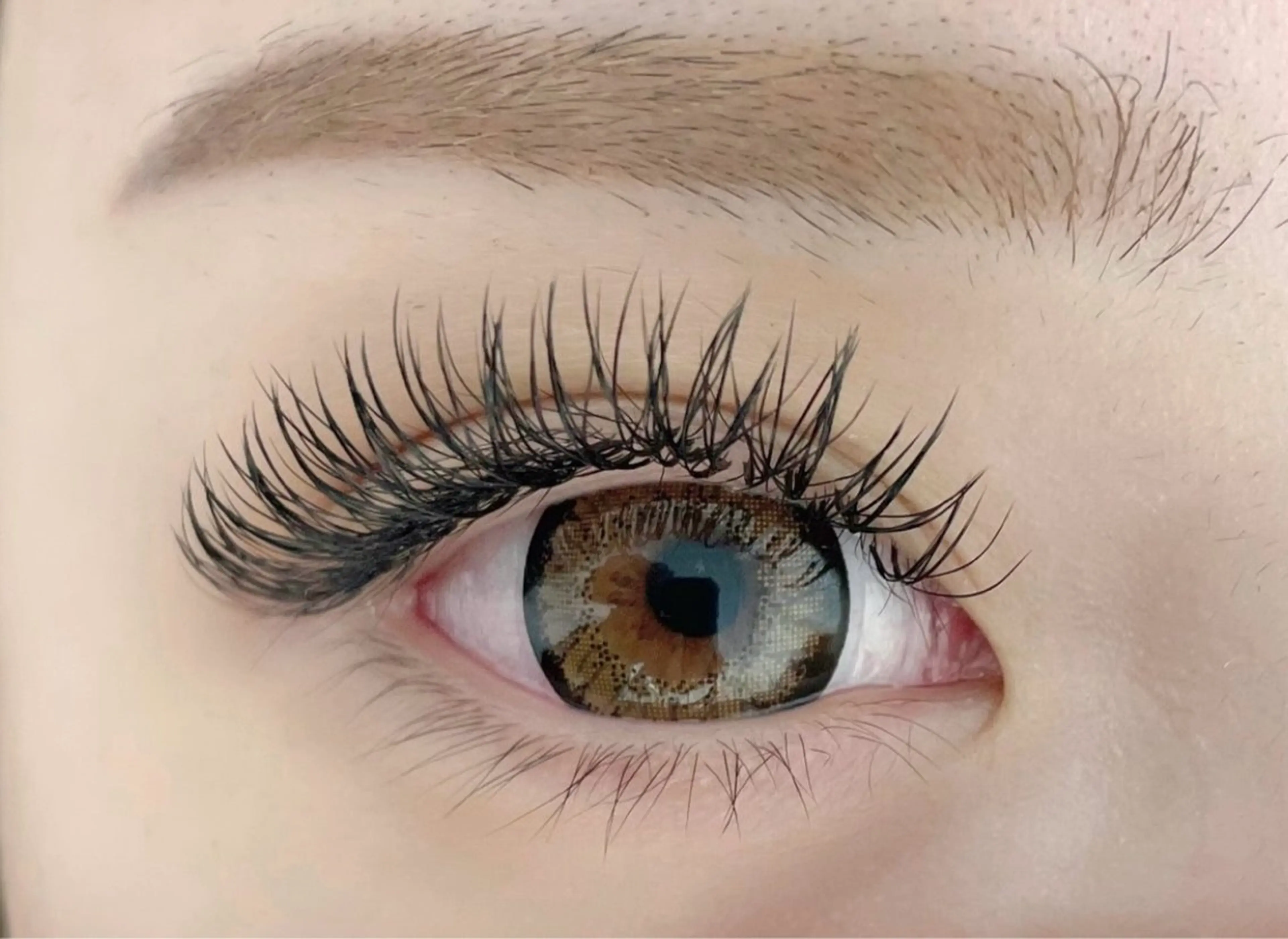 バインドロック100束の写真