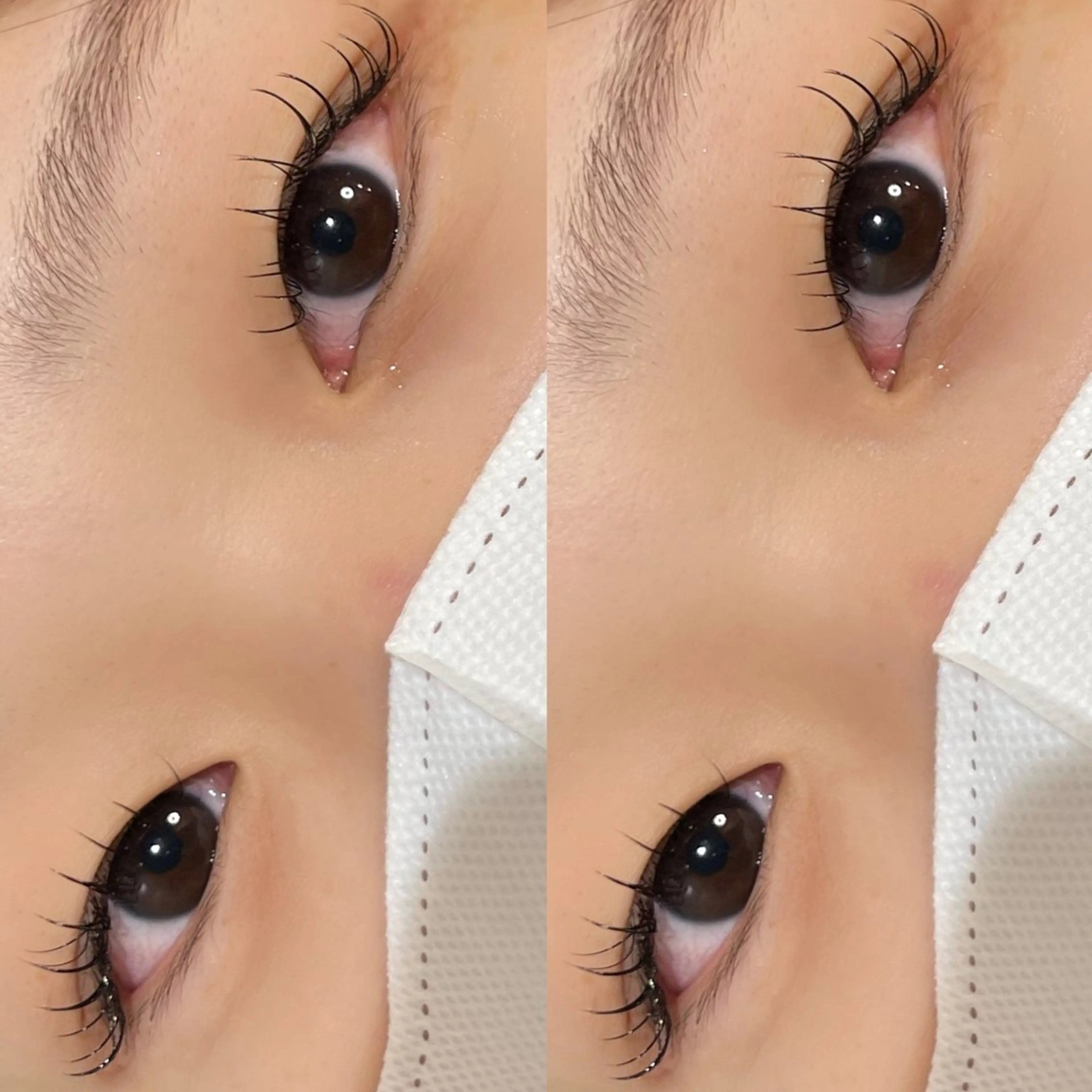 マツエク・マツパ ラッシュリフト高評価 /HITOMIのマツエク・マツパデザイン