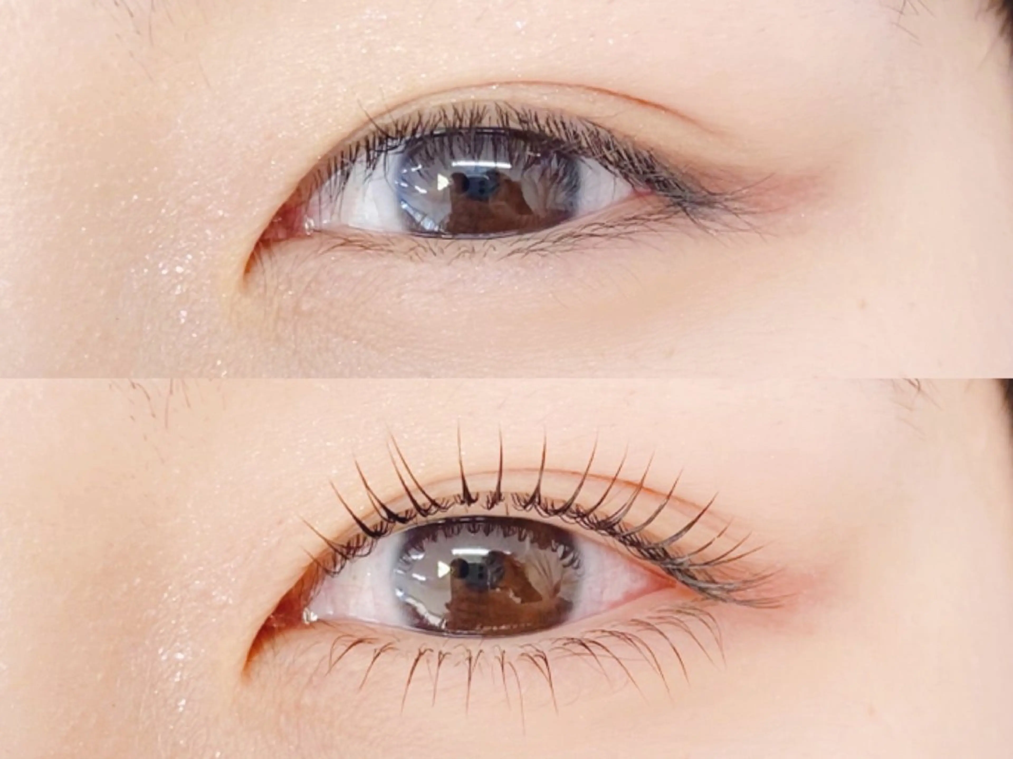 【上下】パリジェンヌ/ラッシュリフトの写真