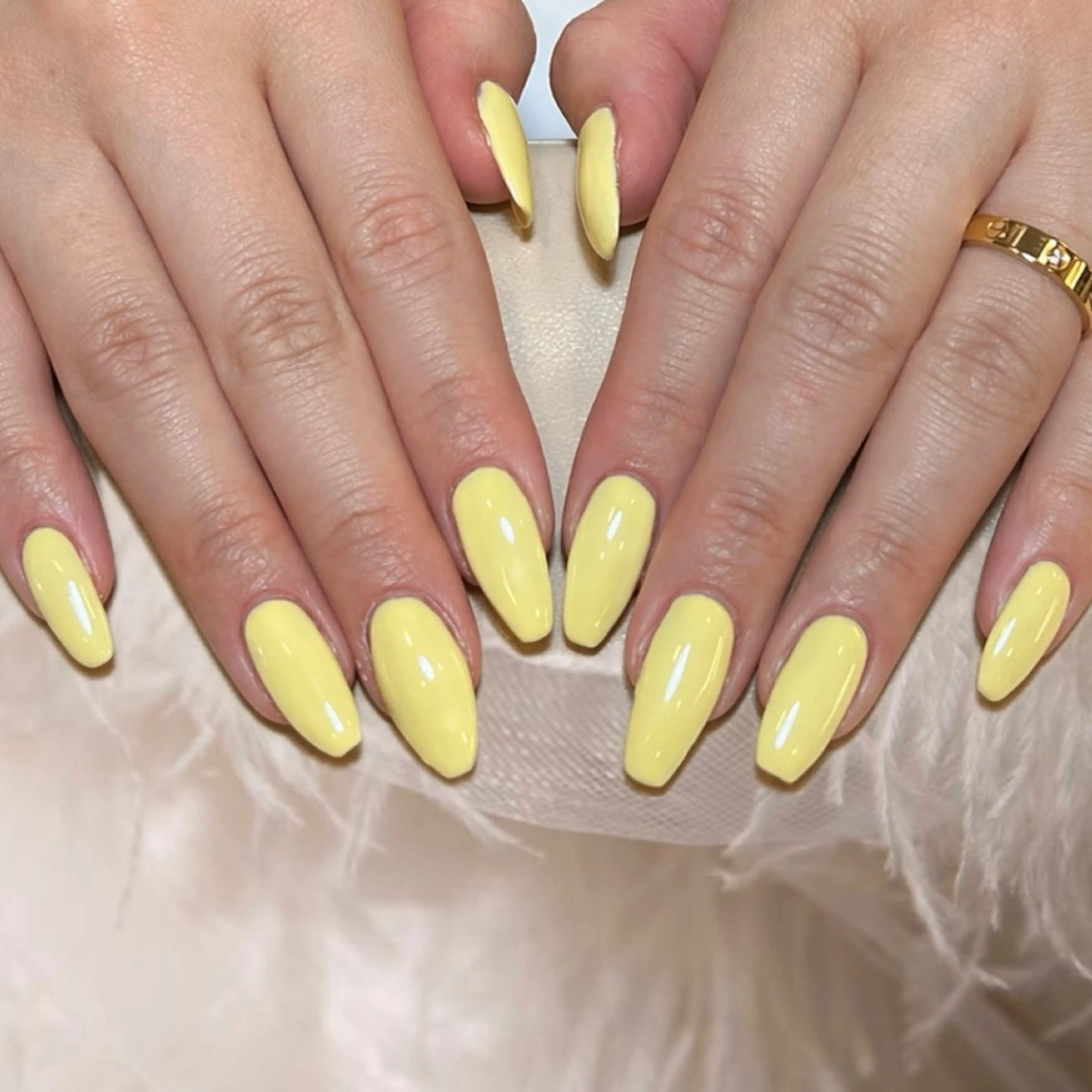 ネイル ワンカラーネイル Luana /Anjuのネイルデザイン