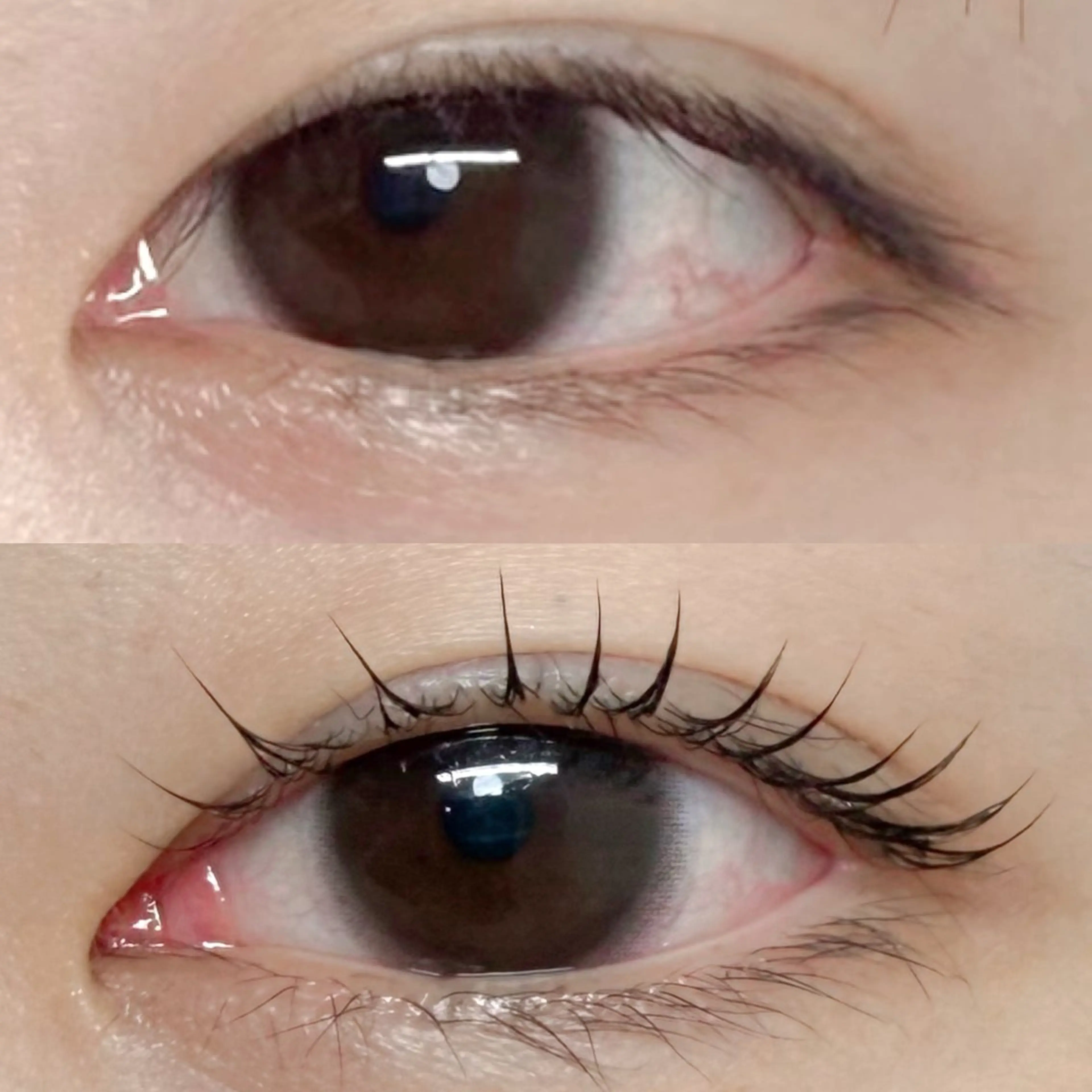 マツエク・マツパ 杉野 まみのマツエク・マツパデザイン