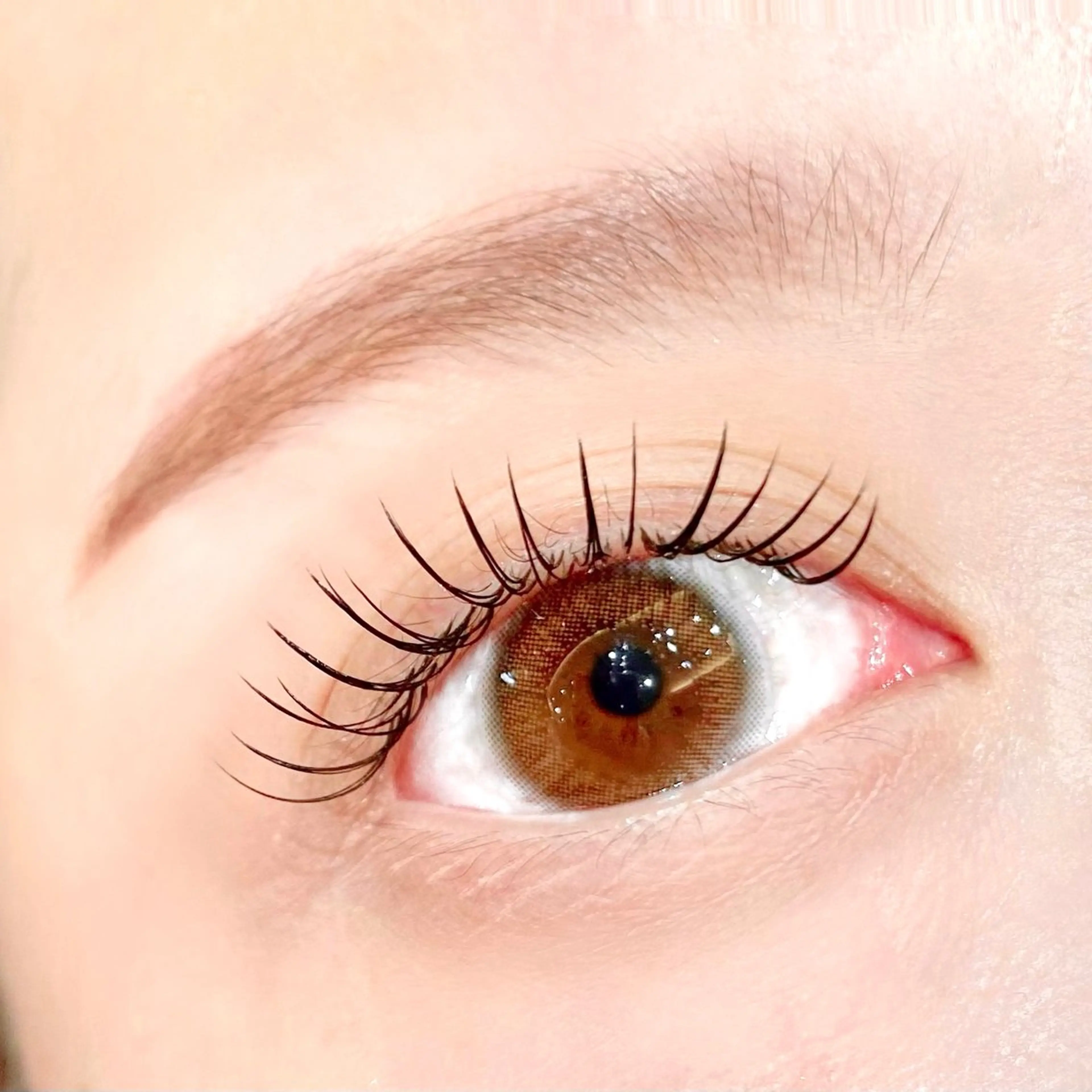 マツエク・マツパ マツエク Fukushi📍 【5/31最終出勤】のマツエク・マツパデザイン