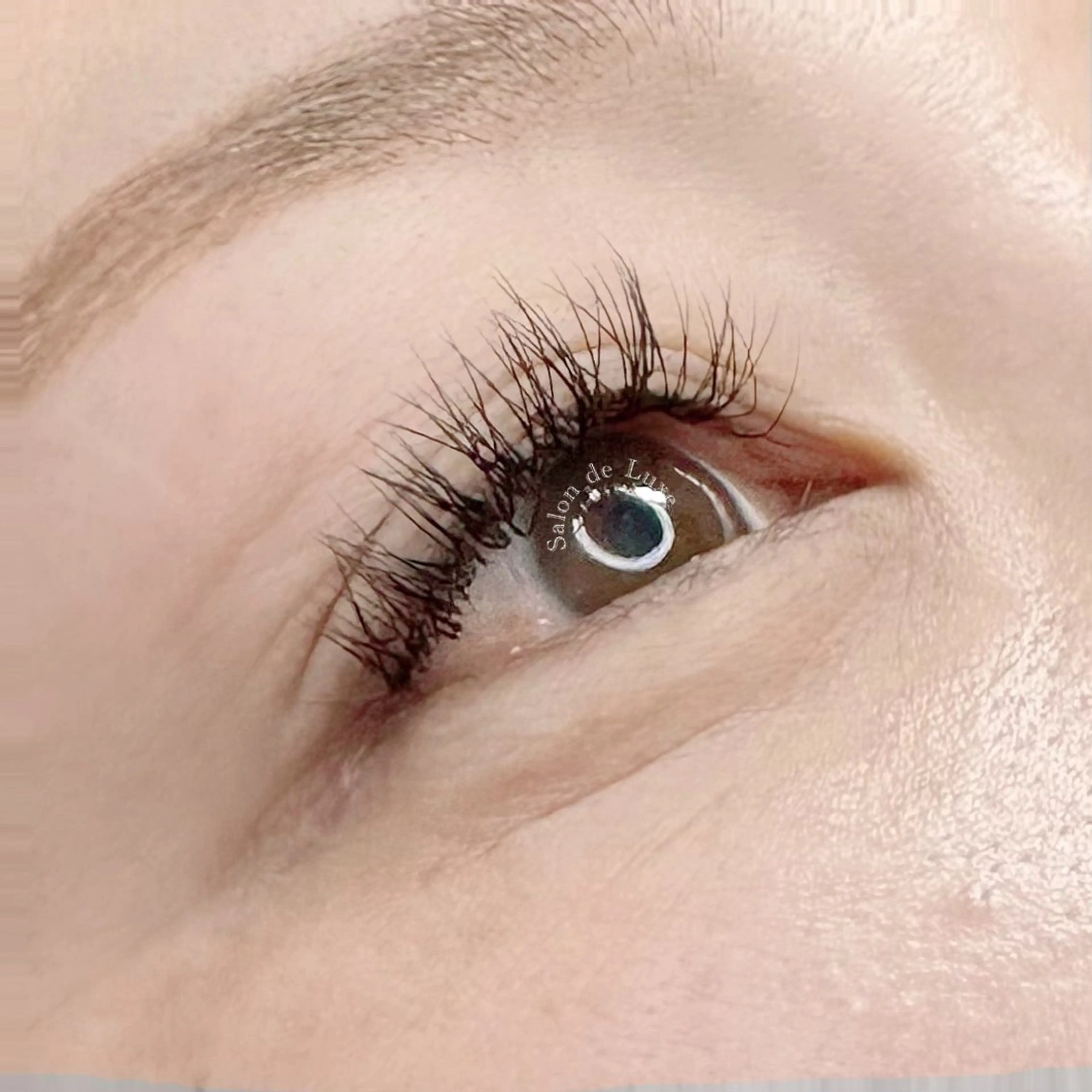 マツエク・マツパ マツエク Salon de Luxe所属・Salon de Luxeの眉毛・アイブロウイメージ