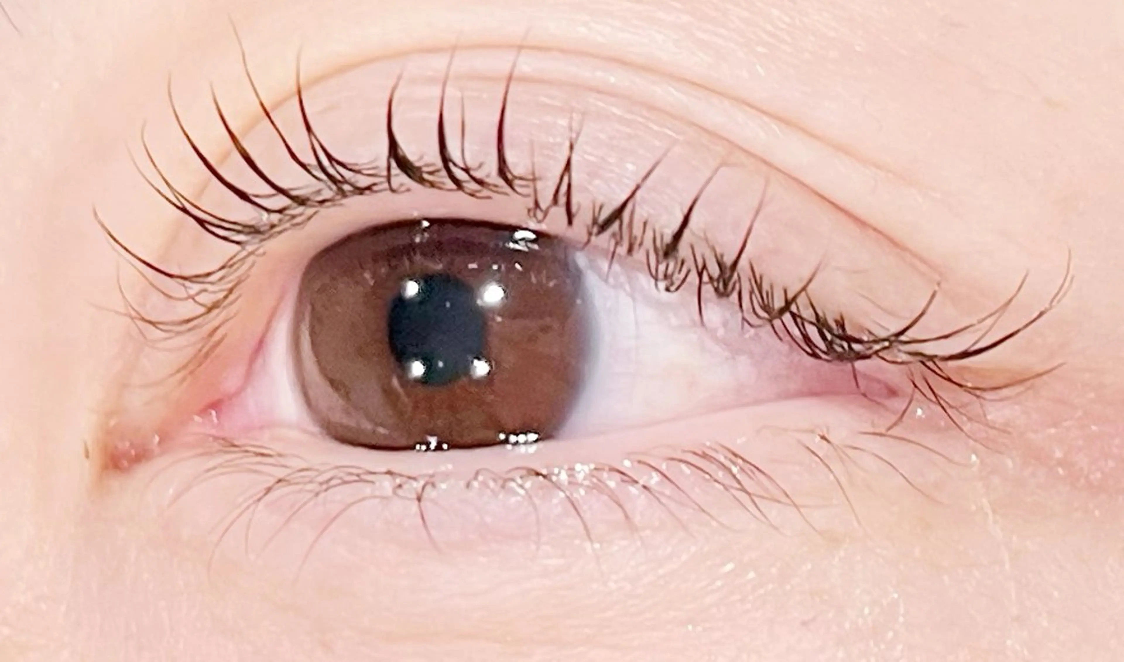 マツエク・マツパ m.grey Nishiteのその他イメージ