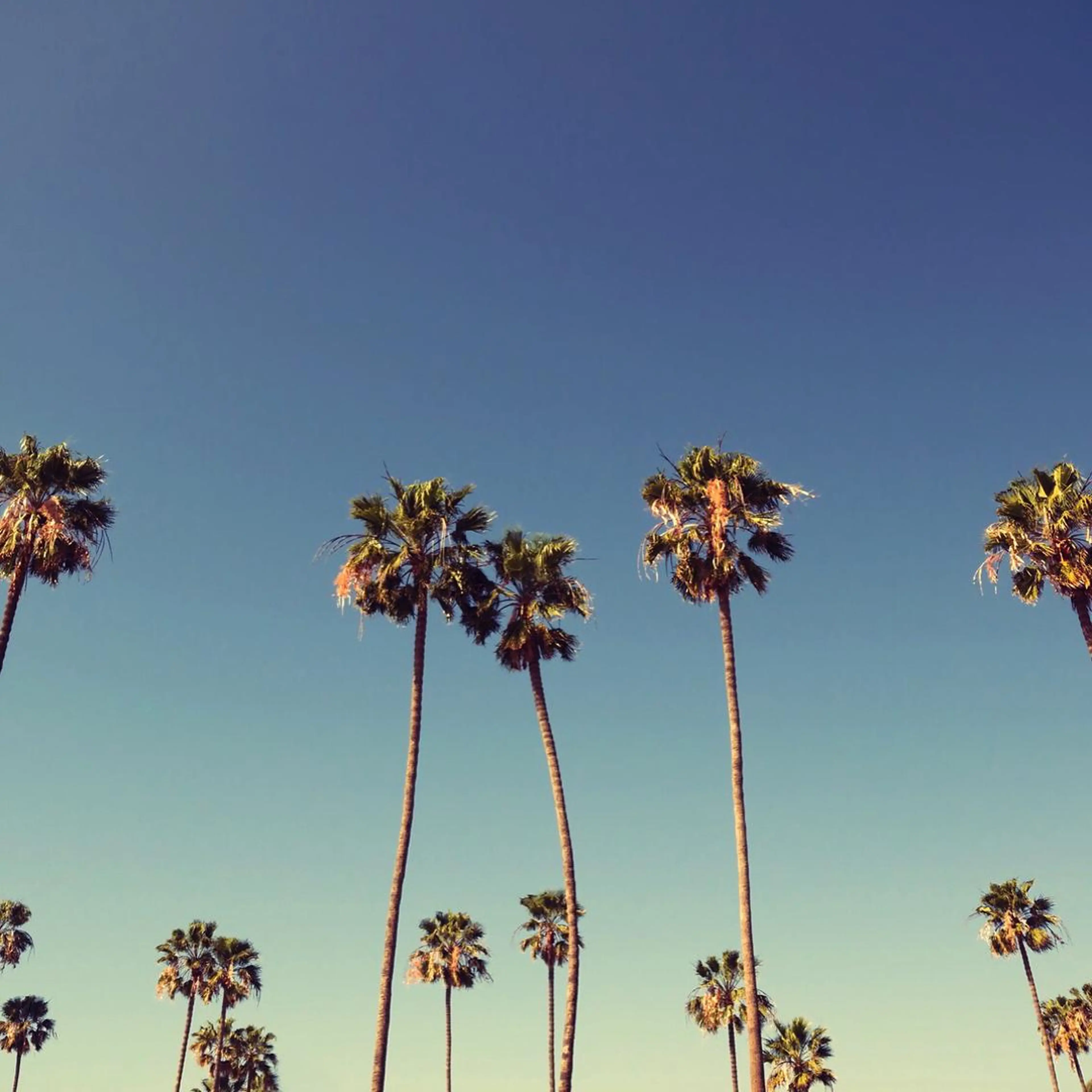 k. akiraのヘアスタイル