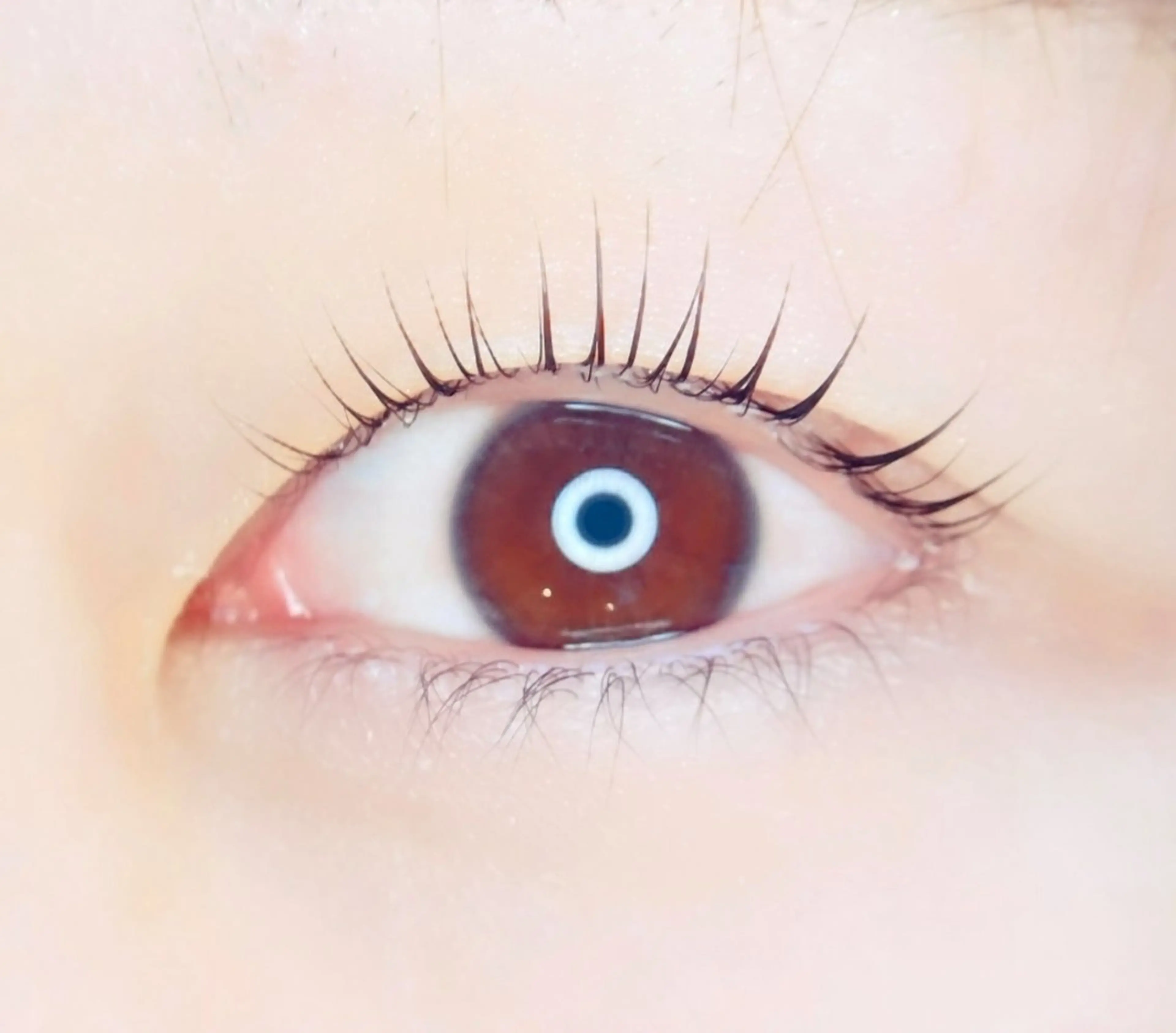 マツエク・マツパ TJ天気予報 eyelash 多田のマツエク・マツパデザイン