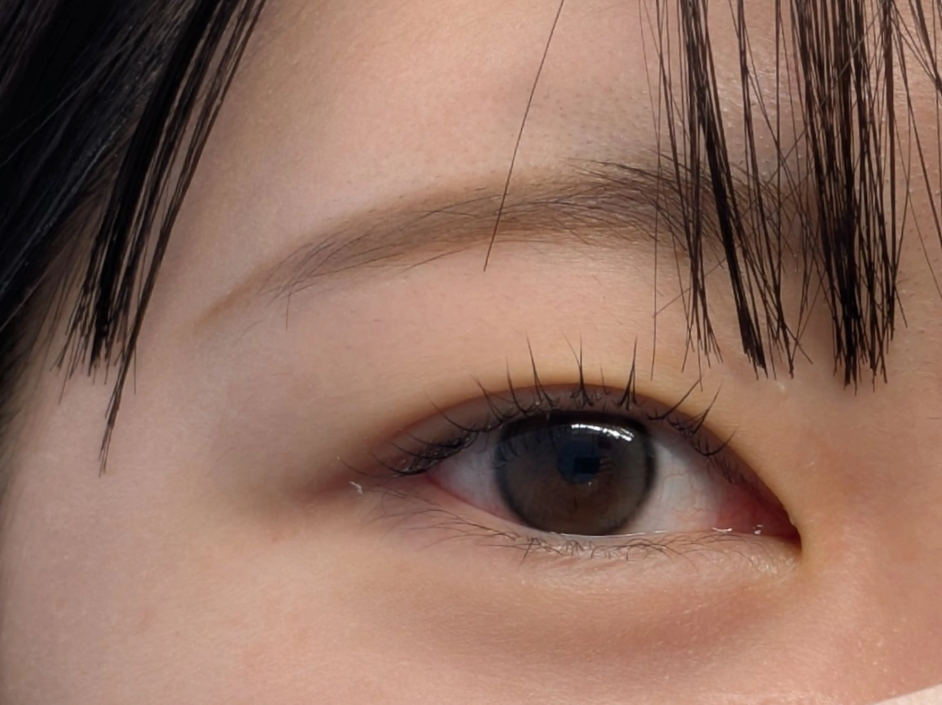 マツエク・マツパ パリジェンヌラッシュリフト まつげパーマ Sun Brown Ryu-gaのマツエク・マツパデザイン