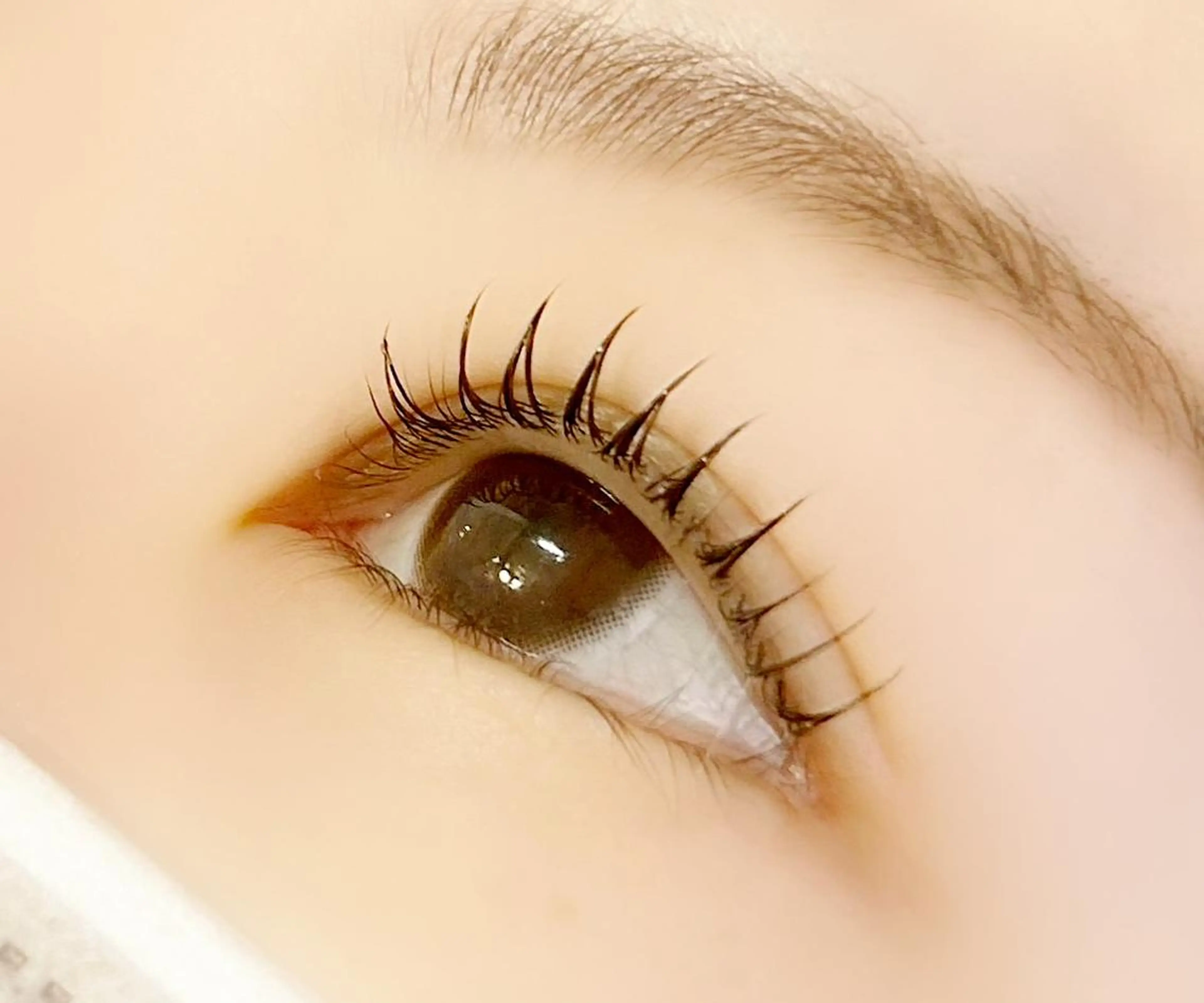 ❣️👀まつげパーマと眉毛ワックスのセットメニュー👀❣️の写真