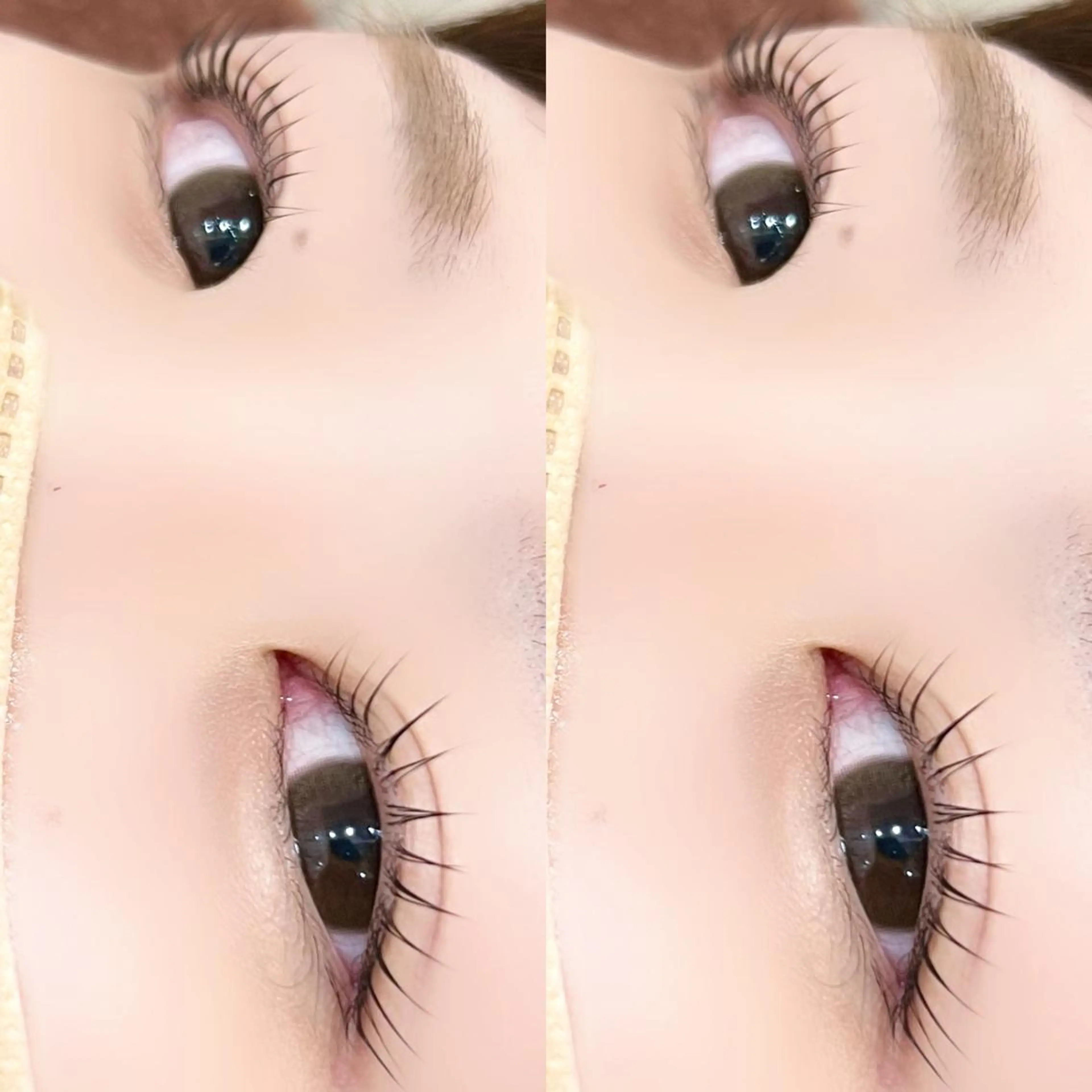 マツエク・マツパ パリジェンヌラッシュリフト マツパ 【myonsil】 Suzuki*のマツエク・マツパデザイン