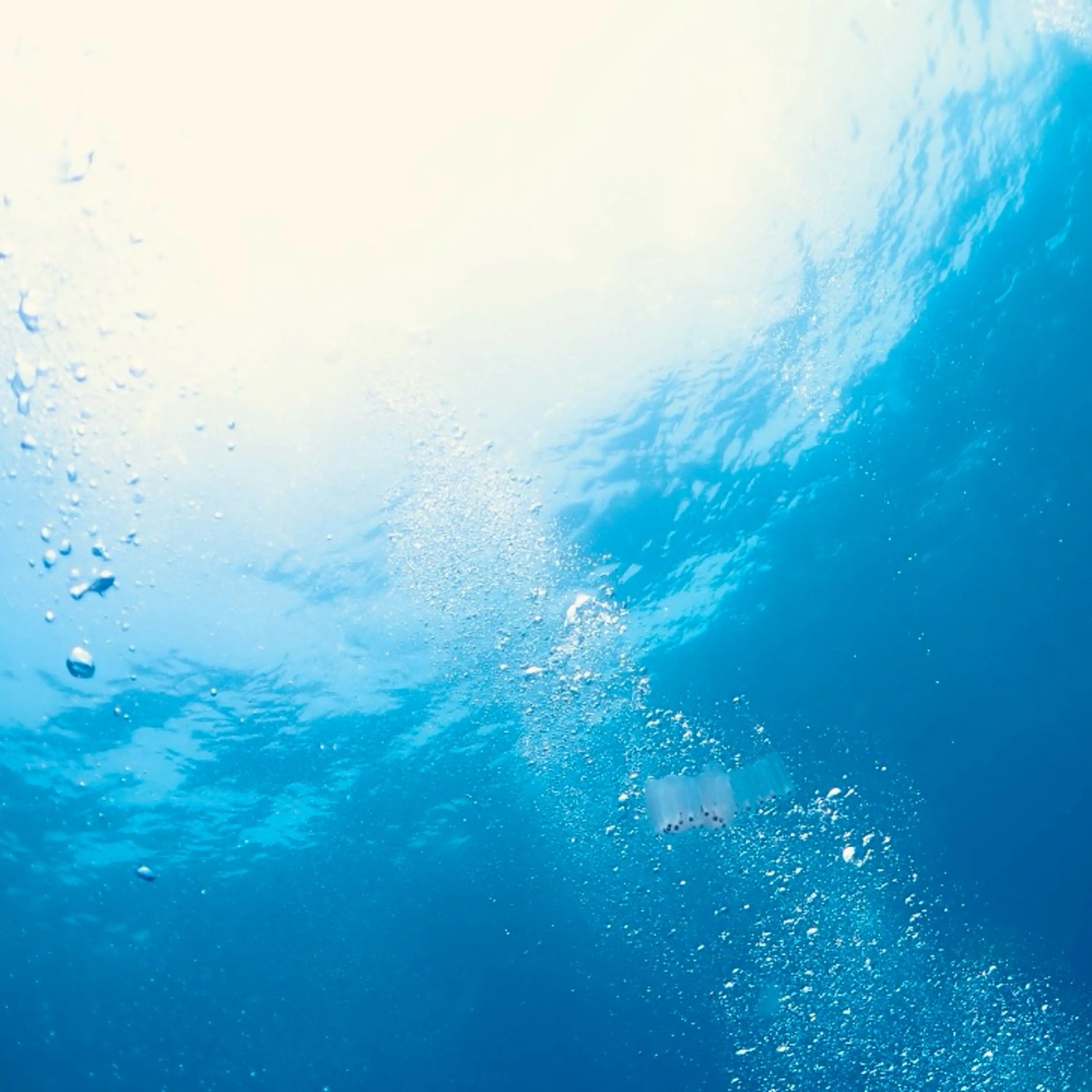 🍯イーラル ヘッドSPA🐝 カット+ハニーパックshort SPA 【男女問わず 🉑 】の写真