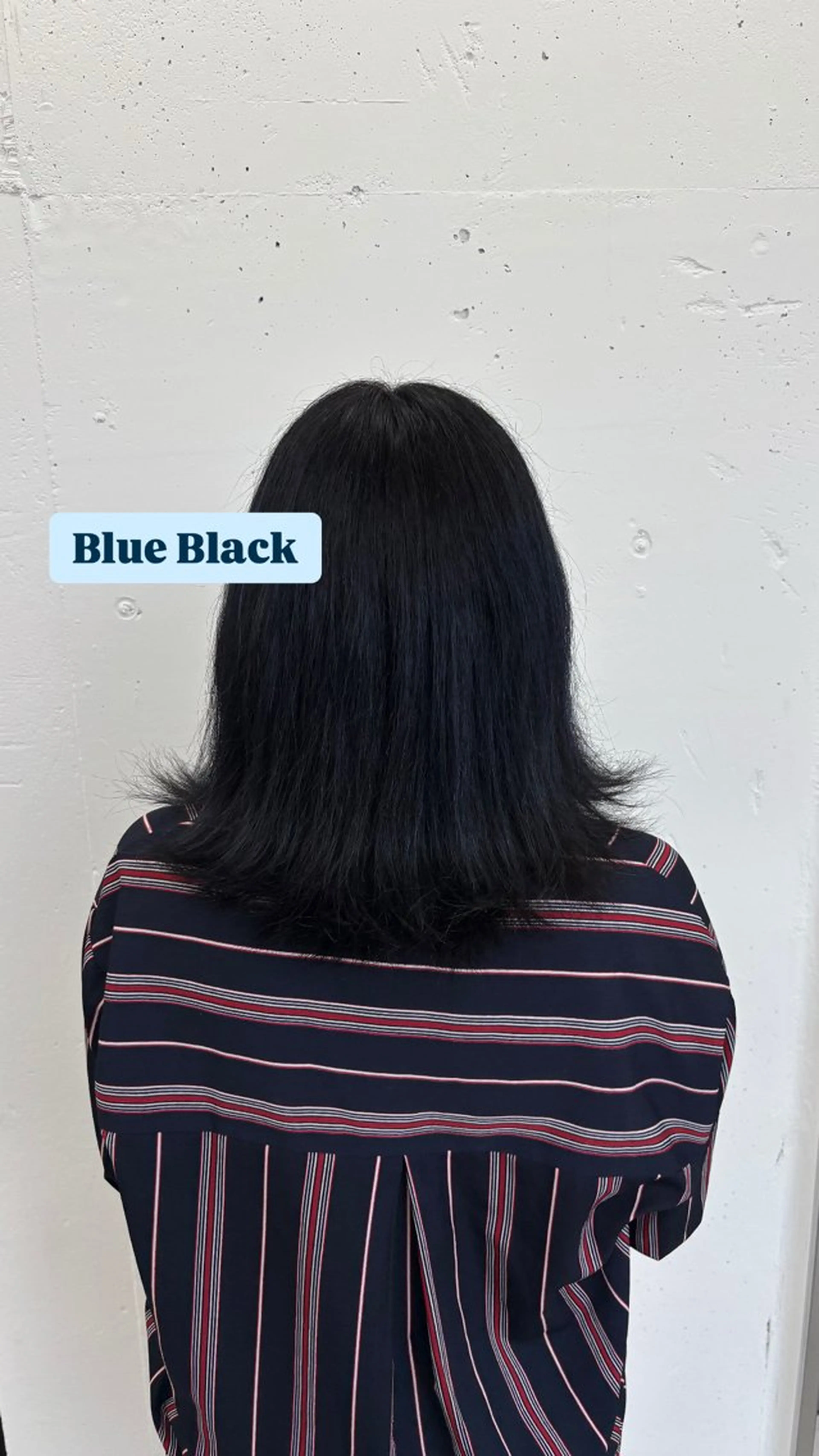 ミディアム カラー 黒髪 ブルーカラー ブルーブラック 透明感カラー 🌼あいり🌼 JILLSTUDIOのヘアスタイル