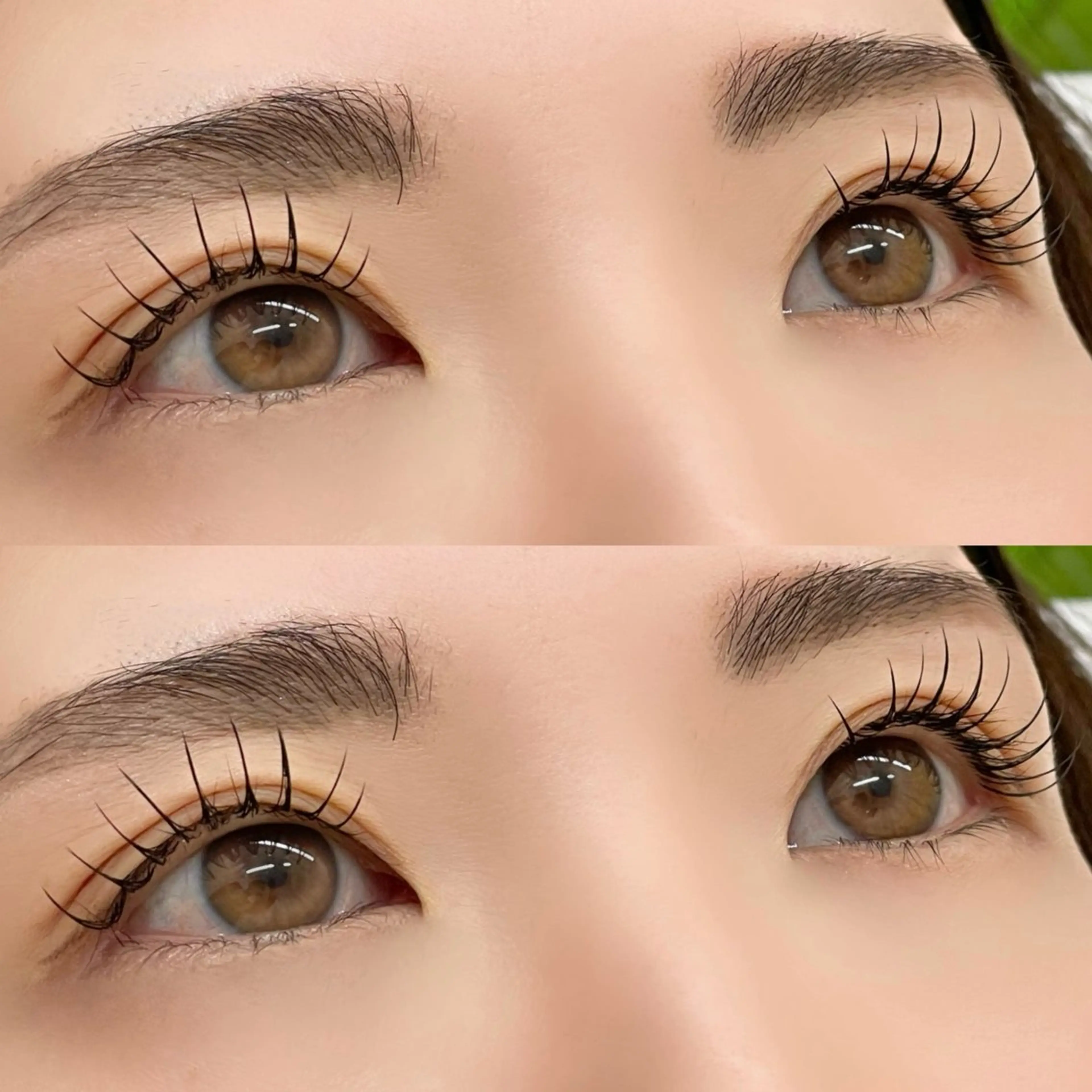 マツエク・マツパ 《BON BON》 miu.のマツエク・マツパデザイン