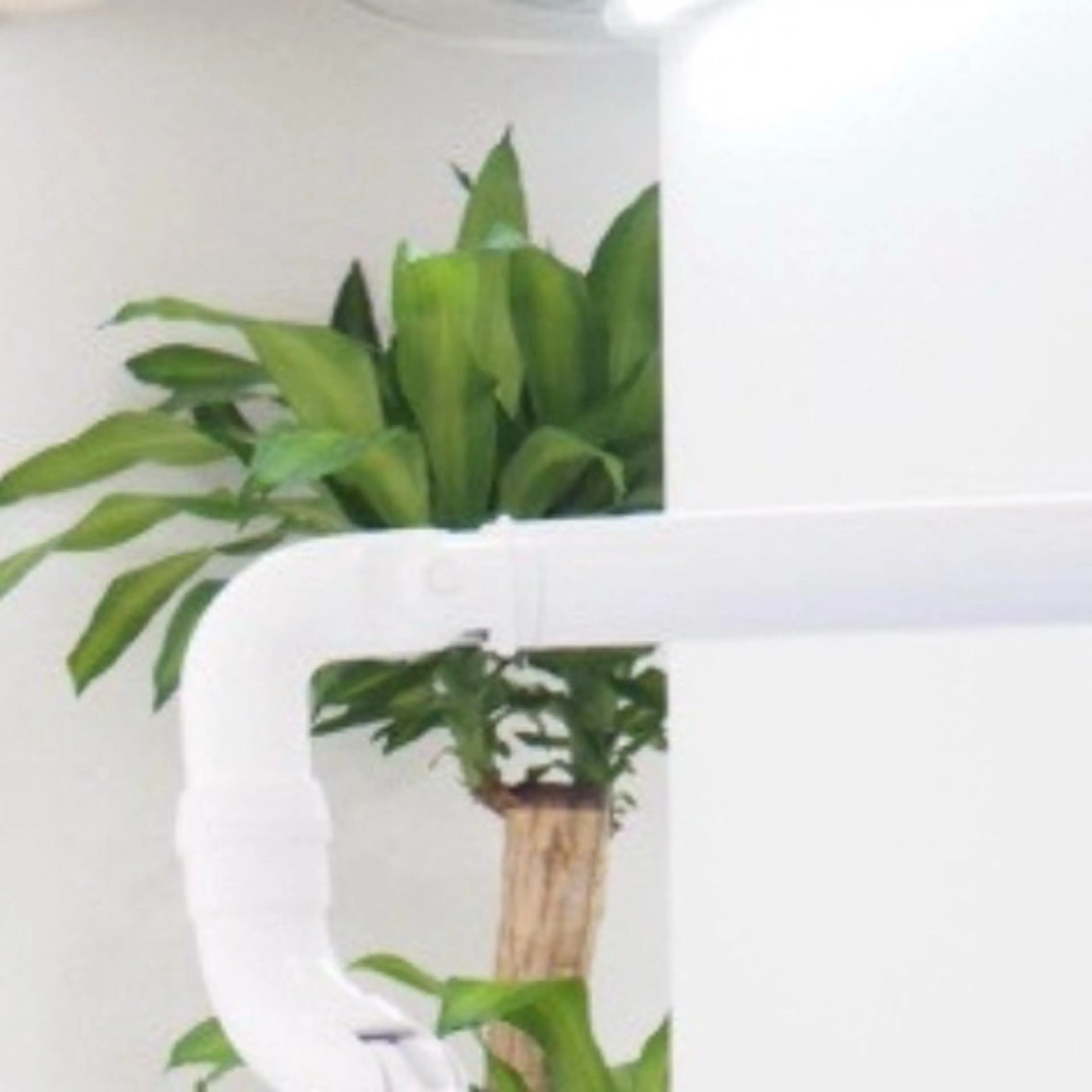 ロング カラー パーマ ヘアアレンジ メンズ キッズ その他 セルフホワイトニングサロンMW 錦糸町店所属・セルフホワイトニング サロンMW錦糸町店のその他イメージ