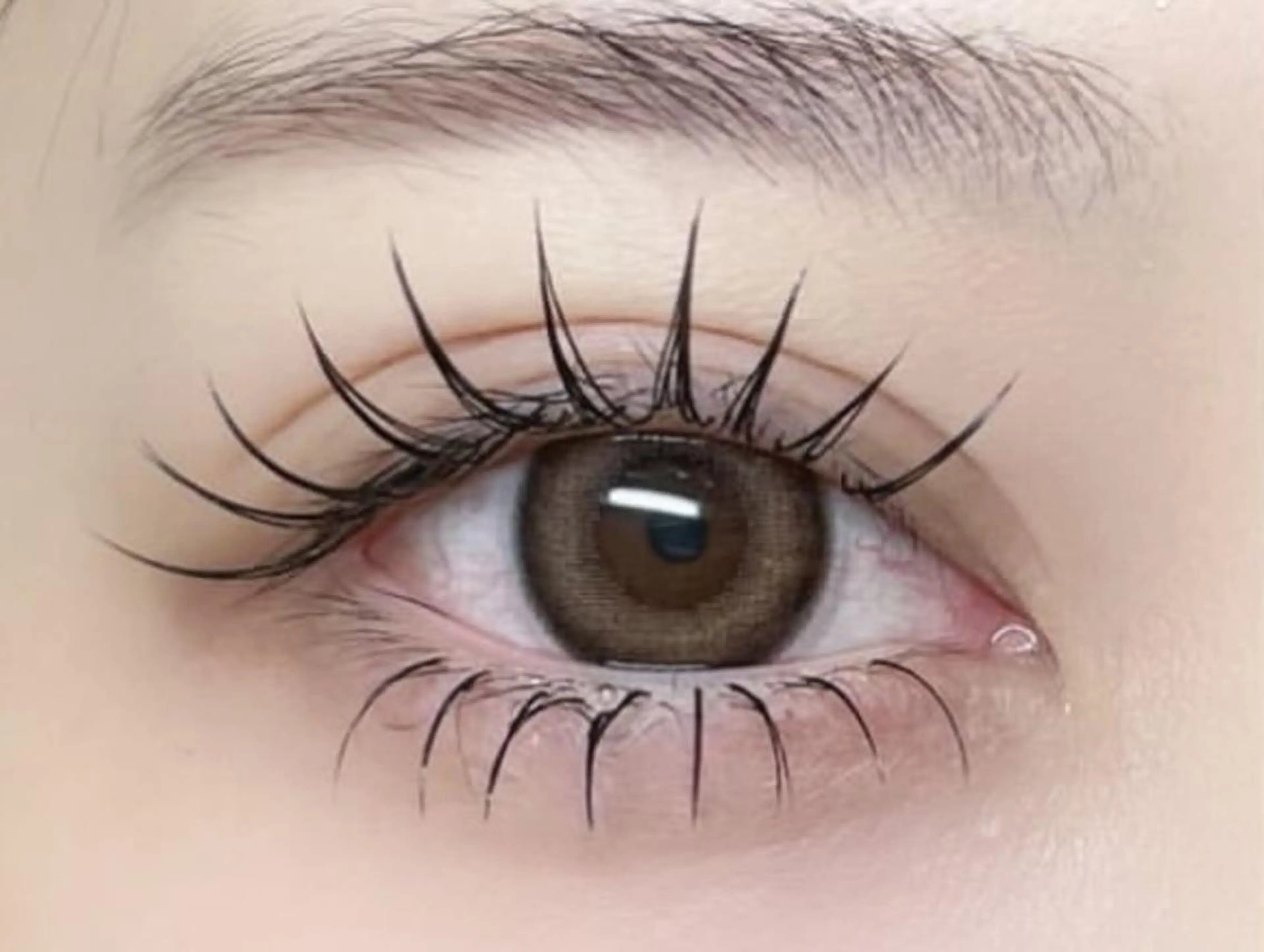 🌹Wフラットラッシュ140束¥8000円(LED+1100)#池袋#マツエク#Wフラットラッシュ#マツパ#まつげパーマの写真