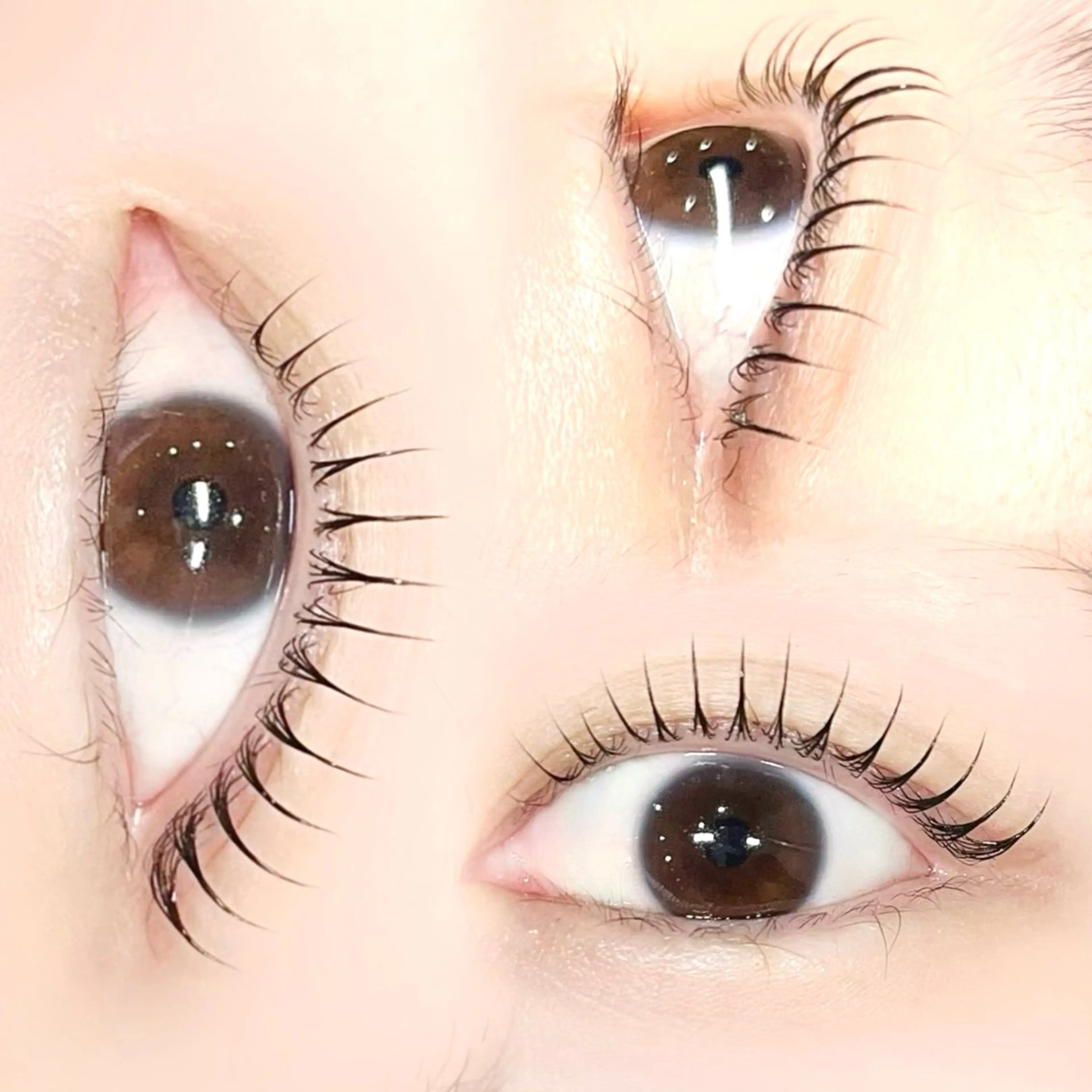 マツエク・マツパ まつげパーマ eyelash Ronguiのマツエク・マツパデザイン