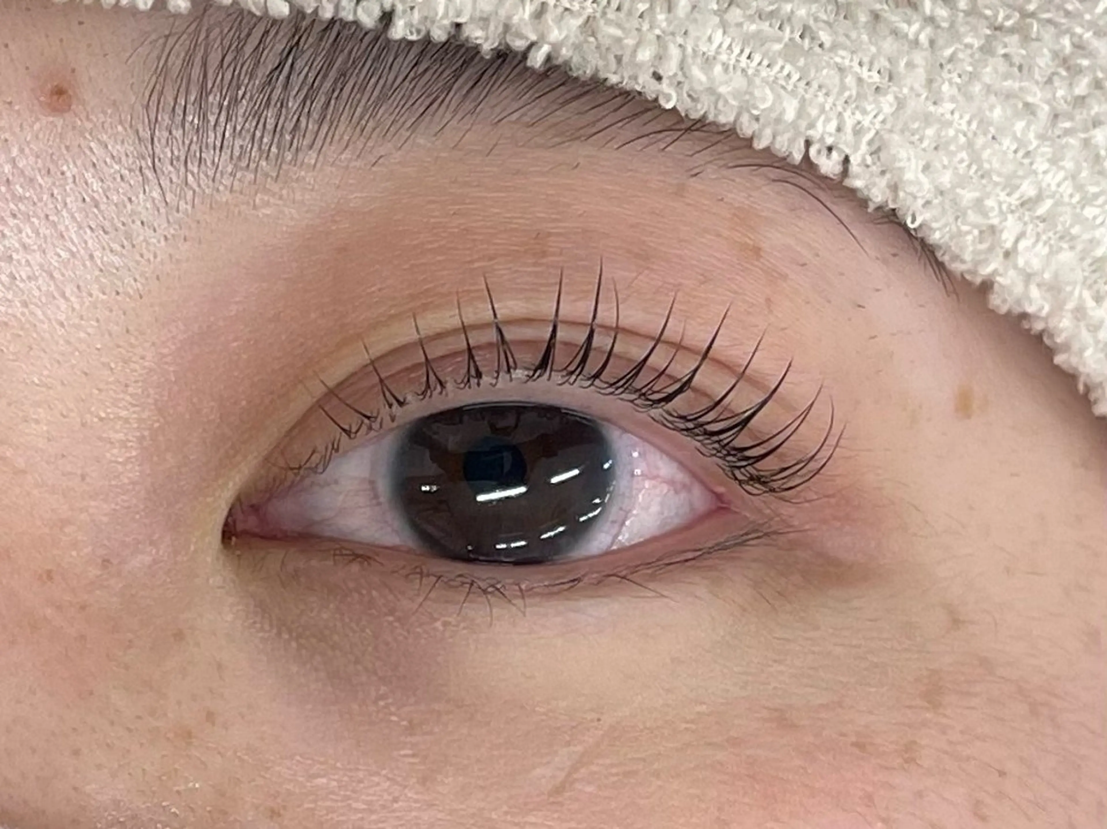 マツエク・マツパ マリーテレジア 🌻RUKAのマツエク・マツパデザイン