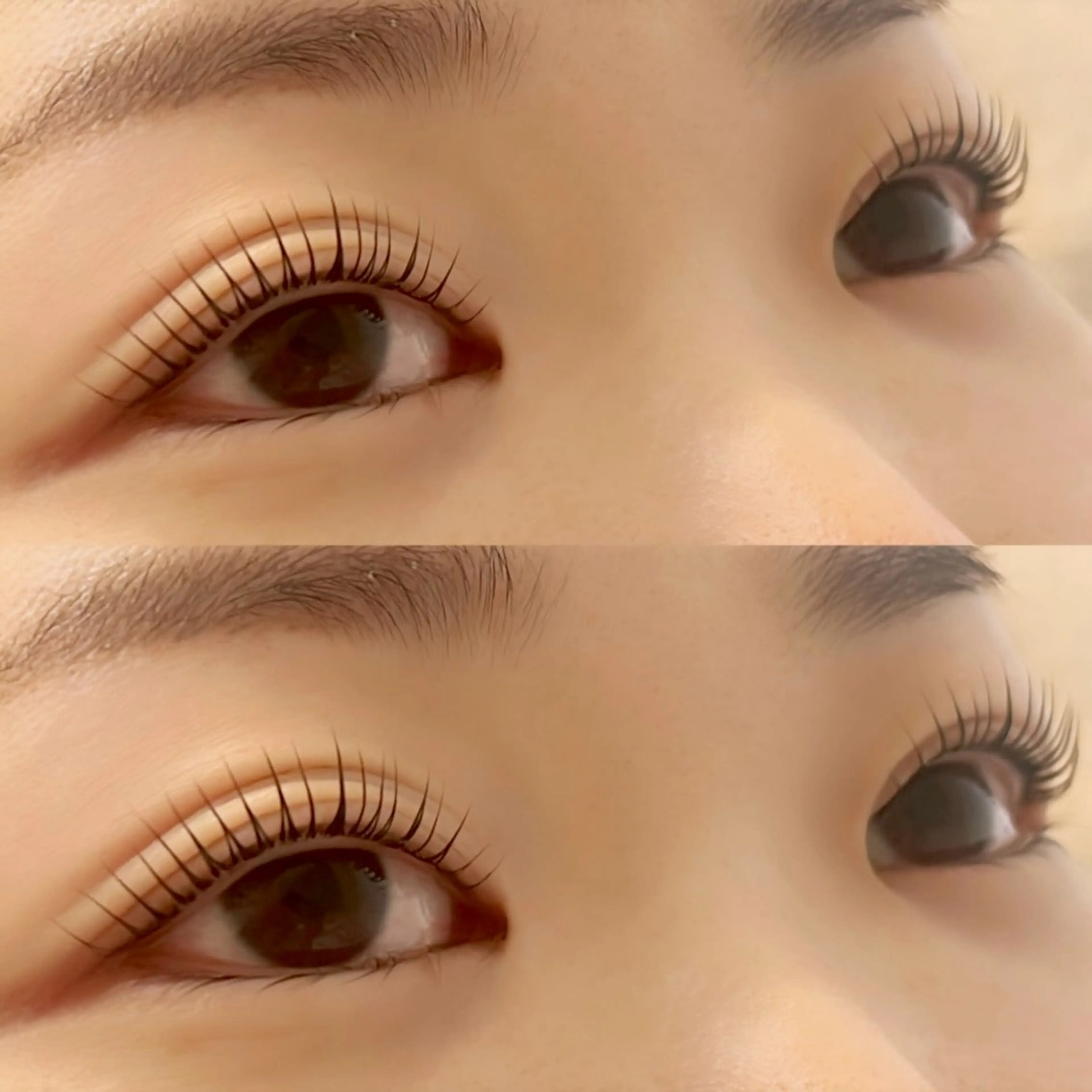 マツエク・マツパ マツパ T Meguのマツエク・マツパデザイン