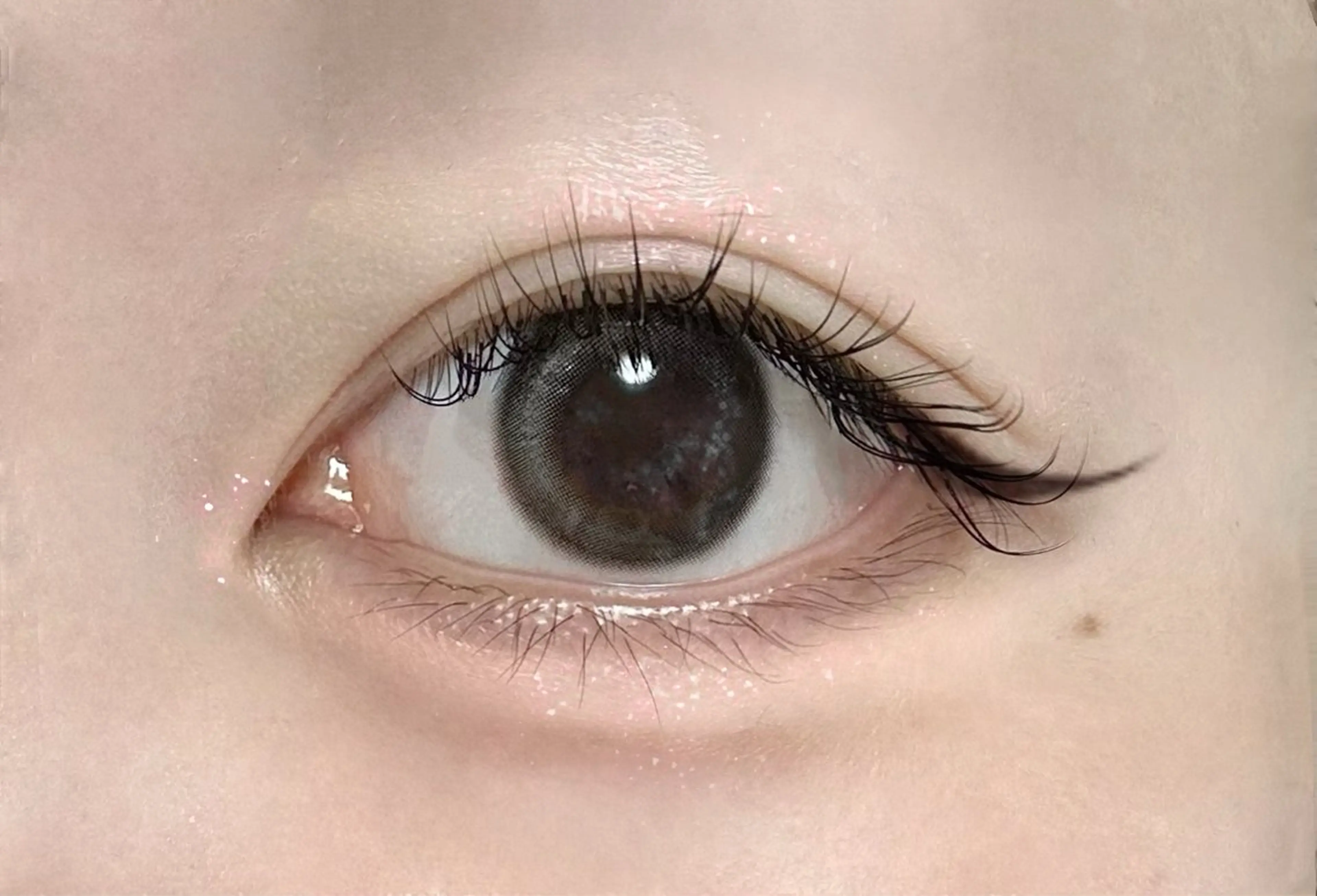 マツエク・マツパ ナチュラル セーブル 🩰Misaki🦢 🪞のマツエク・マツパデザイン