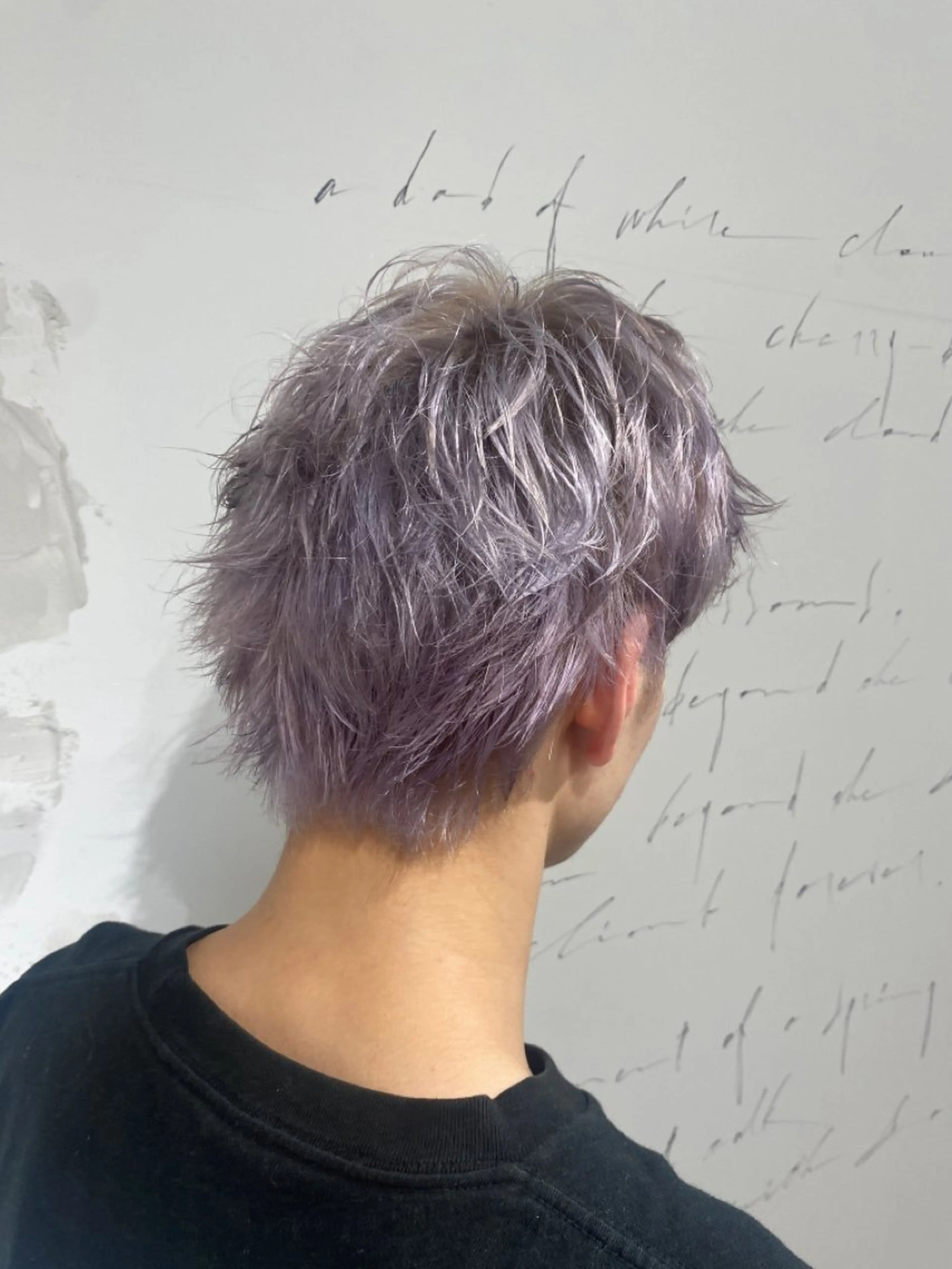 ショート カラー シルバー ホワイトシルバー 鳴海 稜真のヘアスタイル