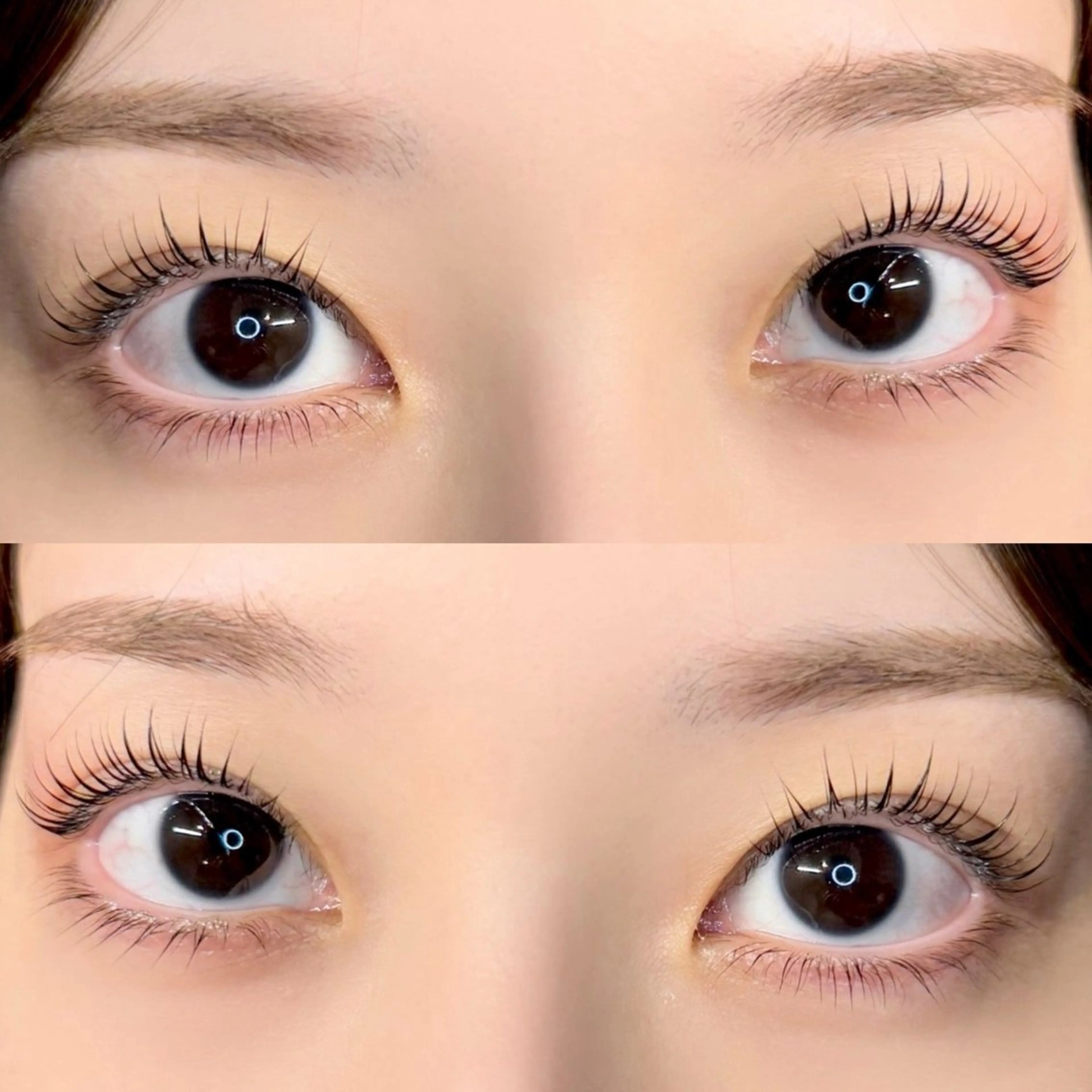 マツエク・マツパ マツパ Lily SHURIのマツエク・マツパデザイン