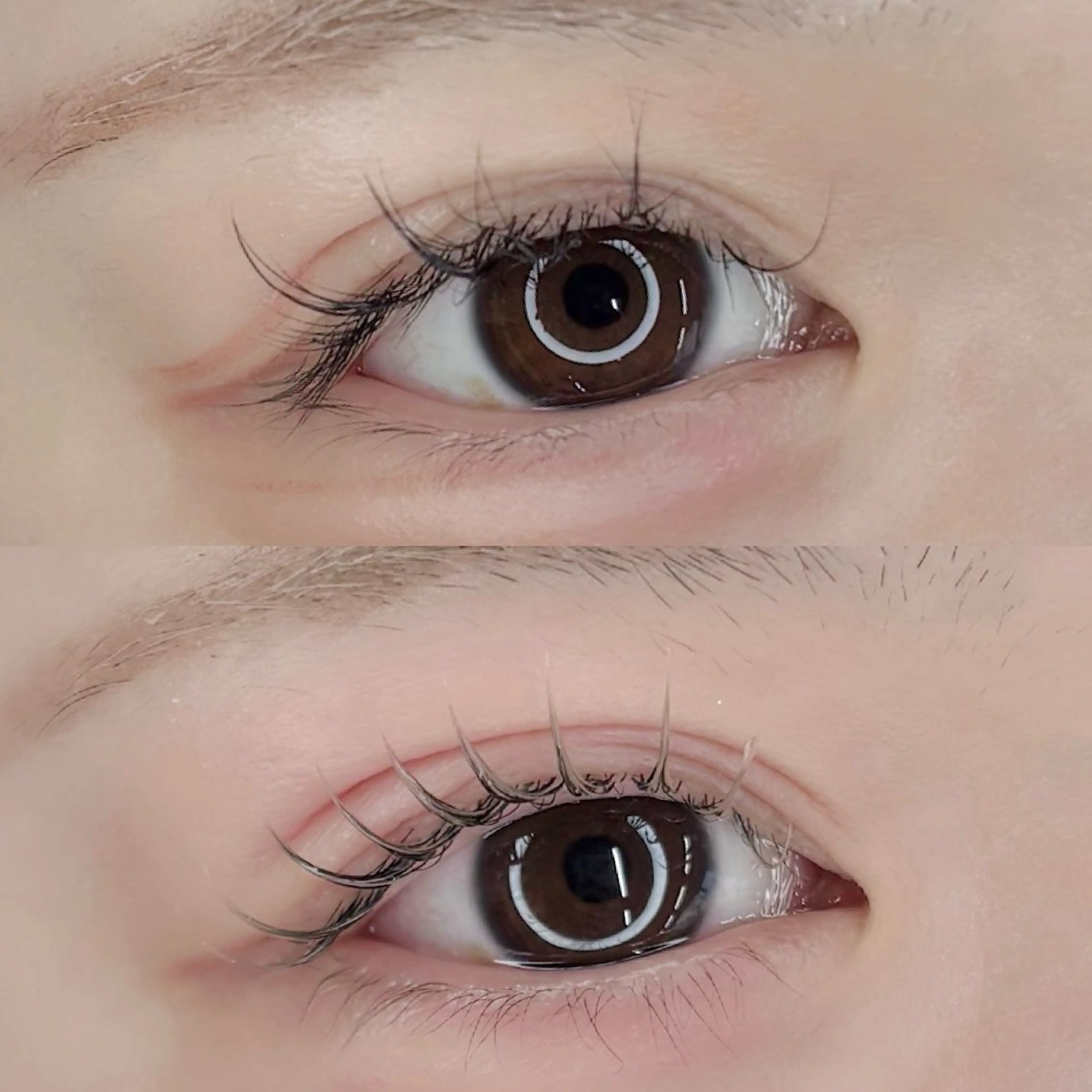 マツエク・マツパ LEDマツエク マツパ撮影モデル募集のマツエク・マツパデザイン