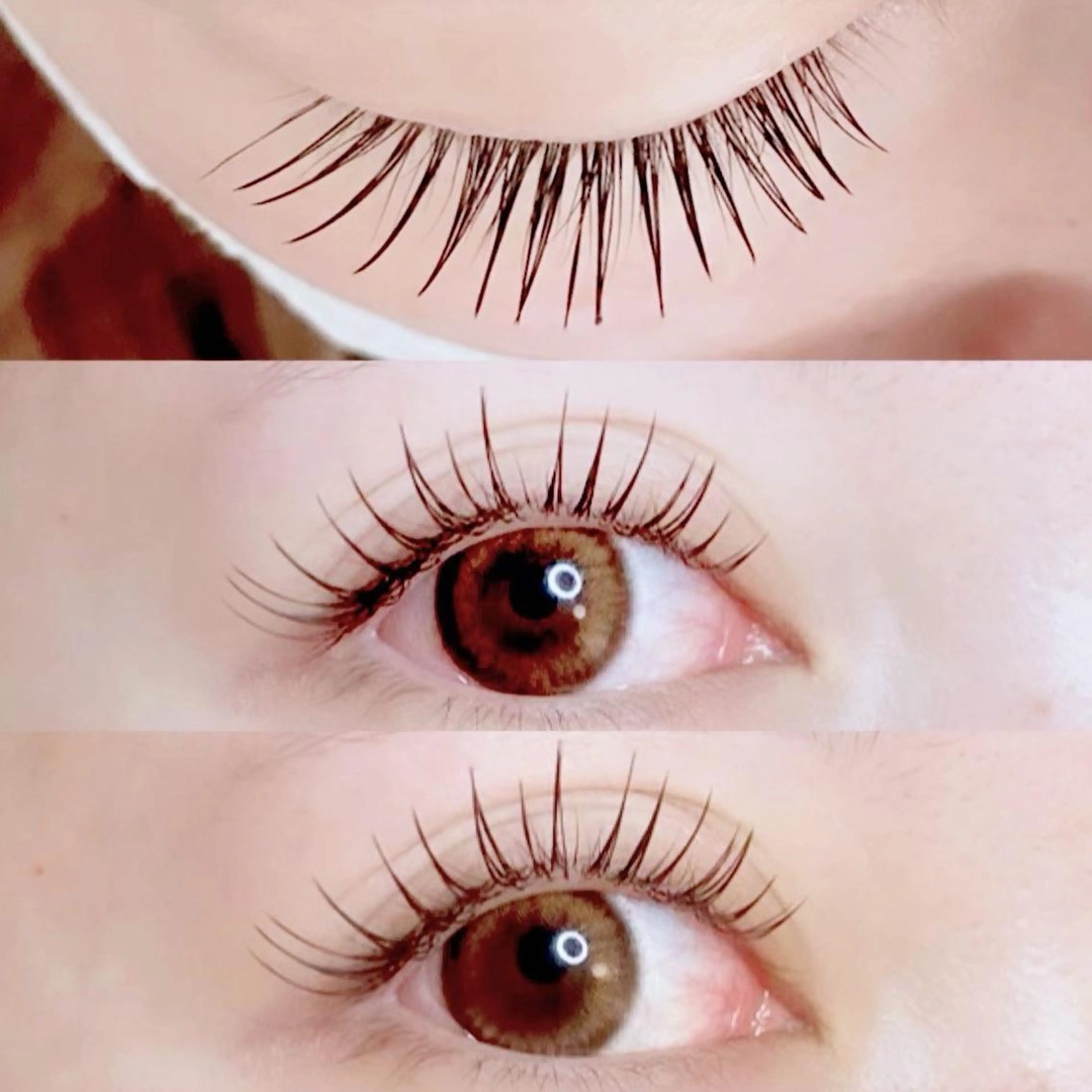 マツエク・マツパ beauty salon ma'am所属・erica💐 ma'amのマツエク・マツパデザイン