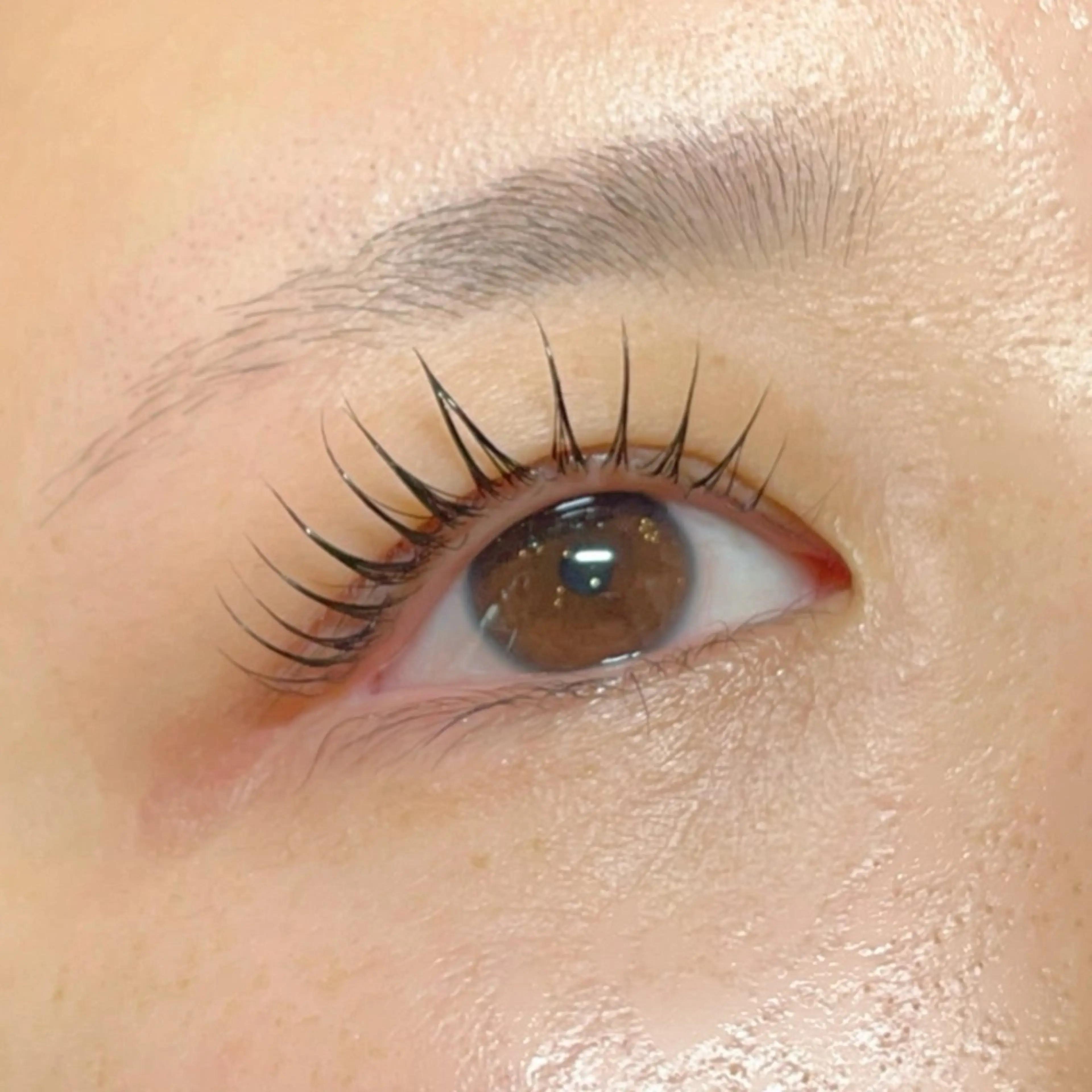 マツエク・マツパ sHeeR【シアー】 ハマナカのマツエク・マツパデザイン