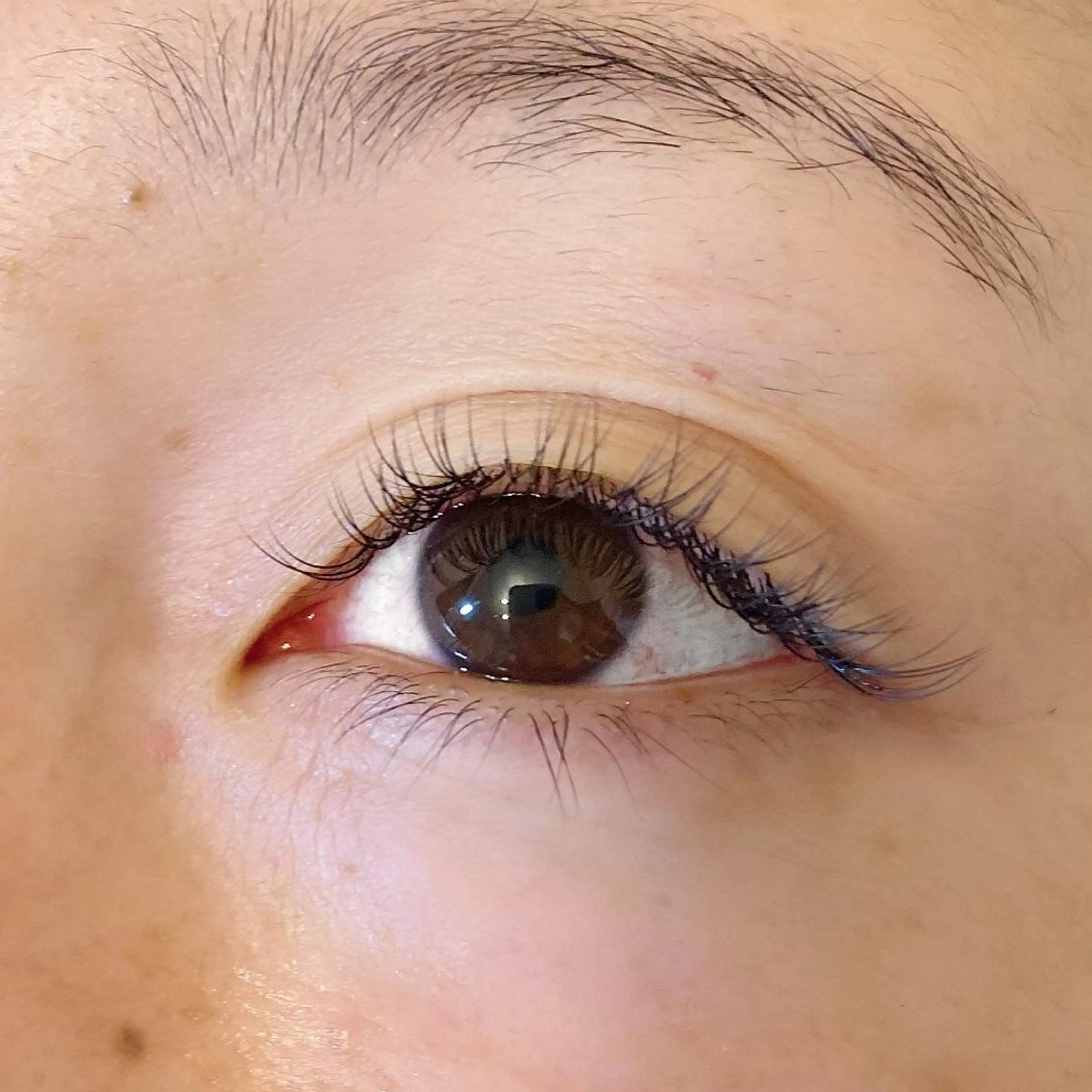 マツエク・マツパ アドアー Adore.caのマツエク・マツパデザイン