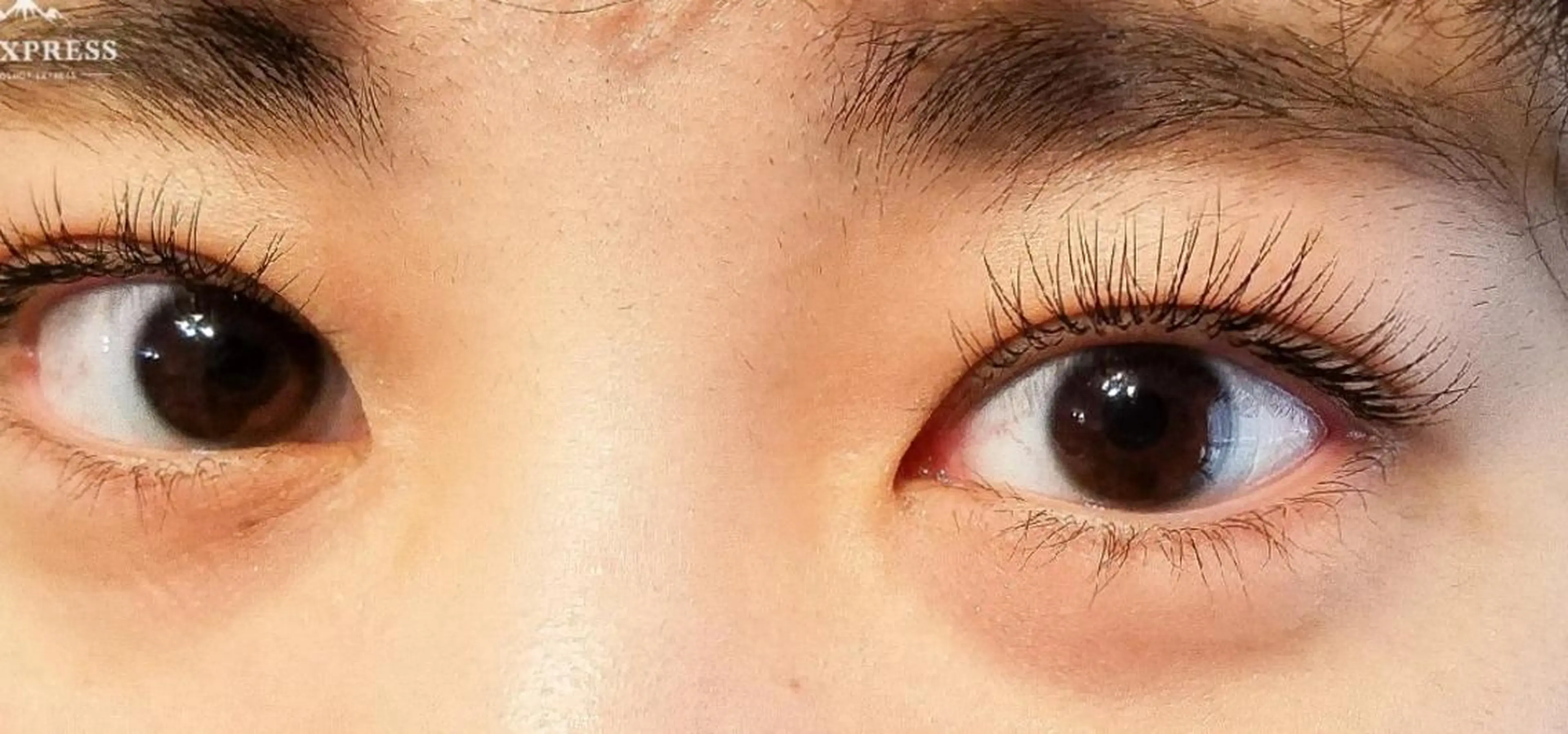 マツエク・マツパ マツエク アイラッシュ コペル【Copel】所属・個室サロンcopel 　kishimotoのマツエク・マツパデザイン