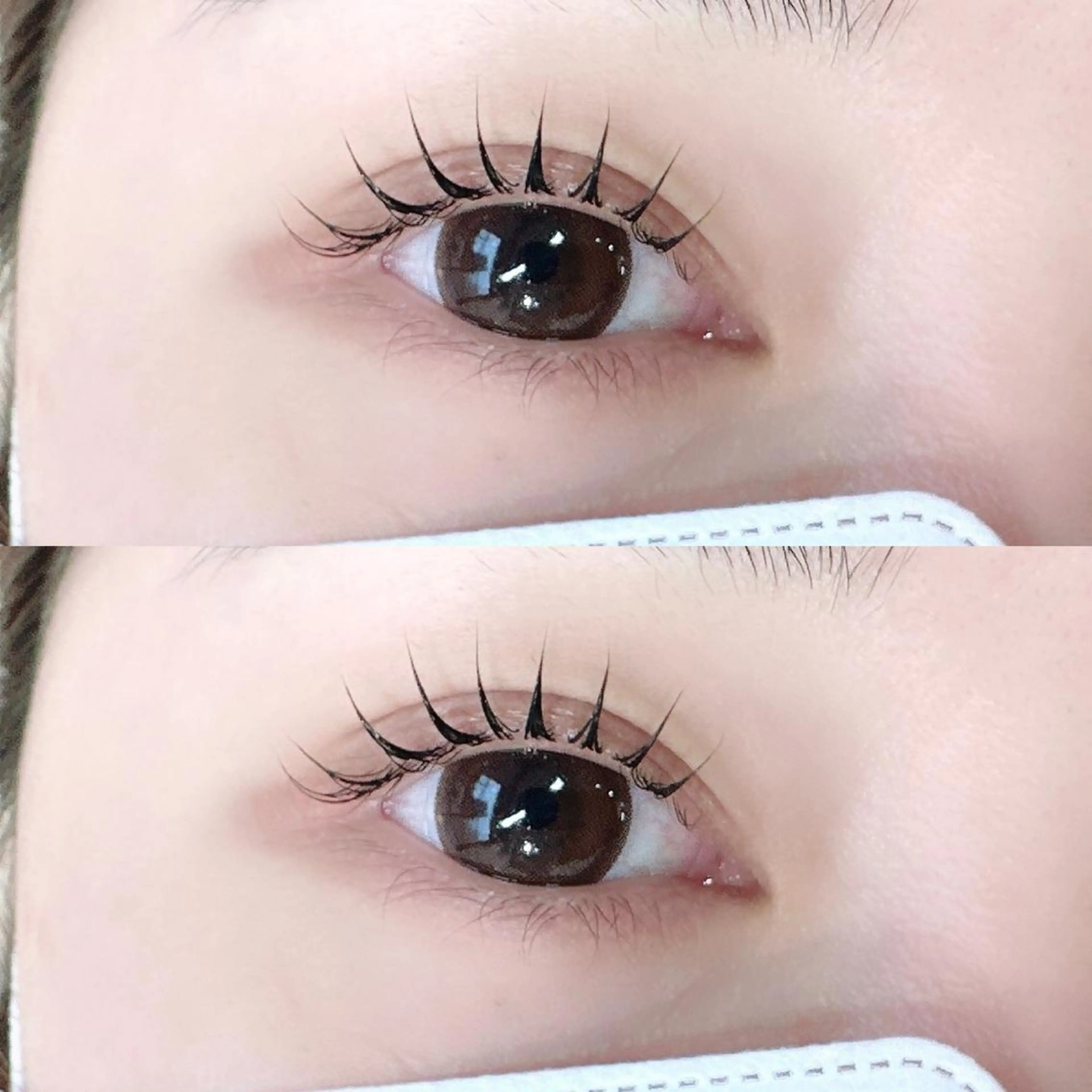 💟 束感★韓国風/まつ毛パーマ/コーティング仕上げ💟(オフなし)_3300の写真