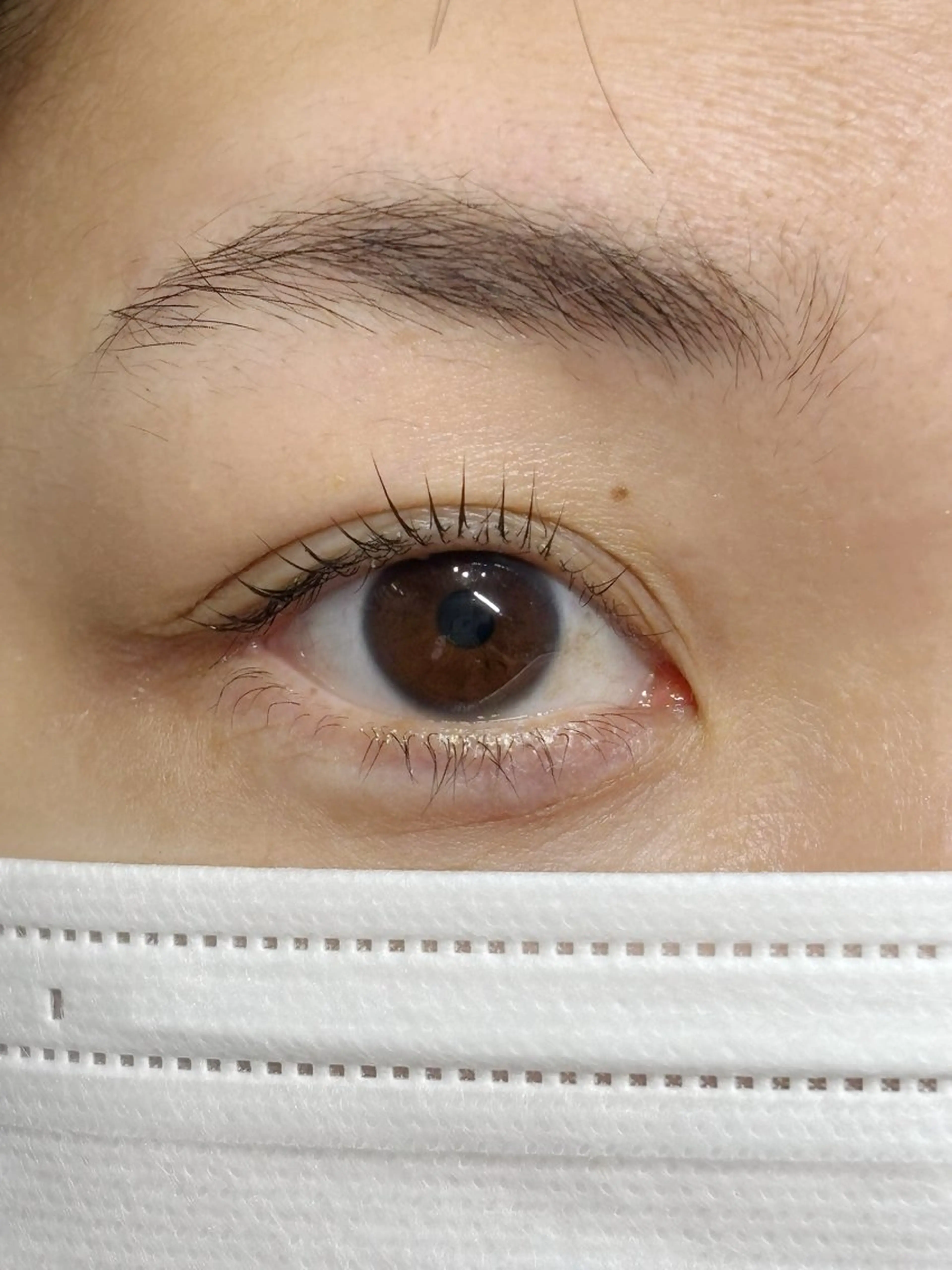 マツエク・マツパ na モデル募集のマツエク・マツパデザイン