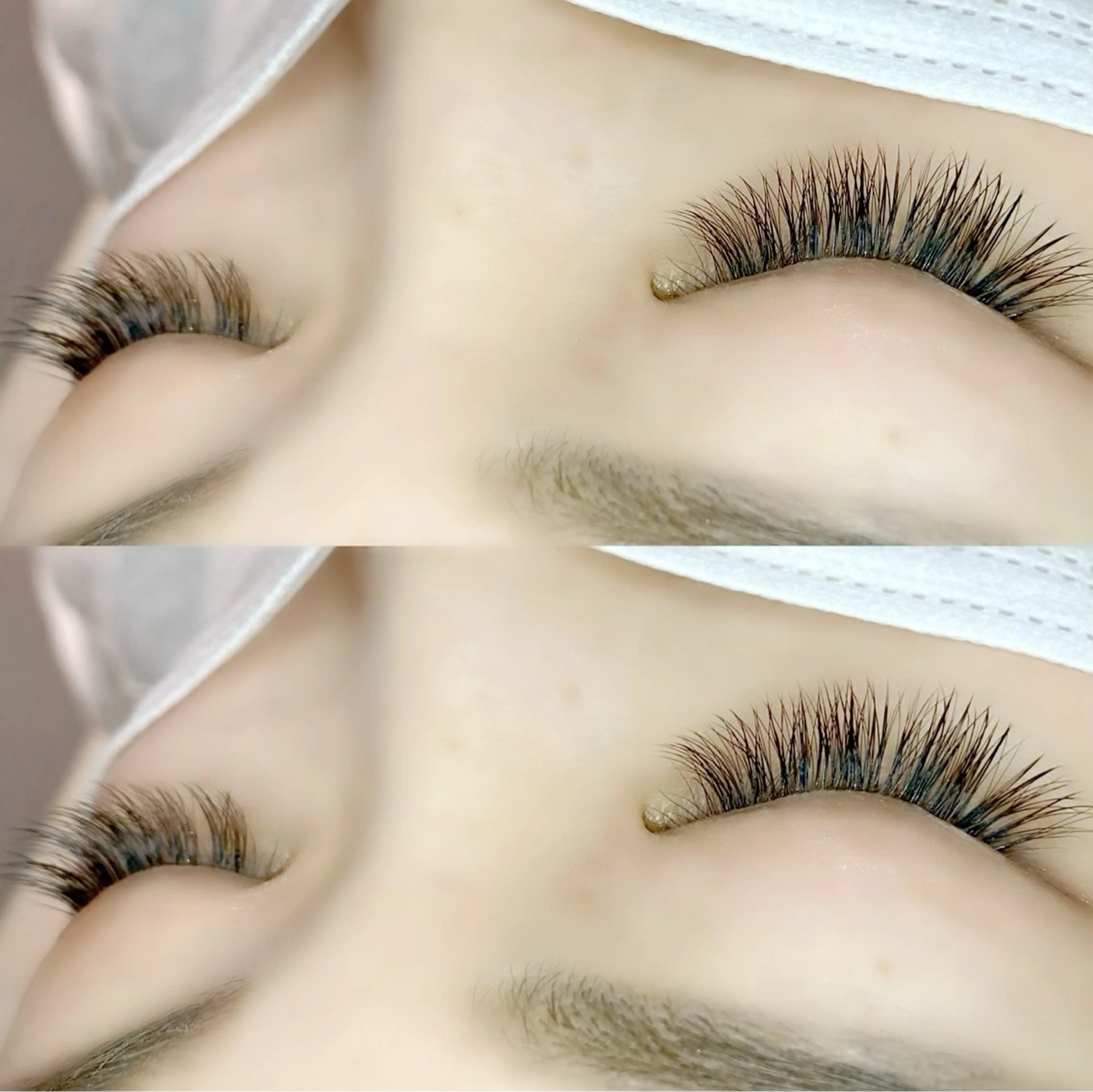 🎼バインドロック・ダブルフラット80束🎼の写真