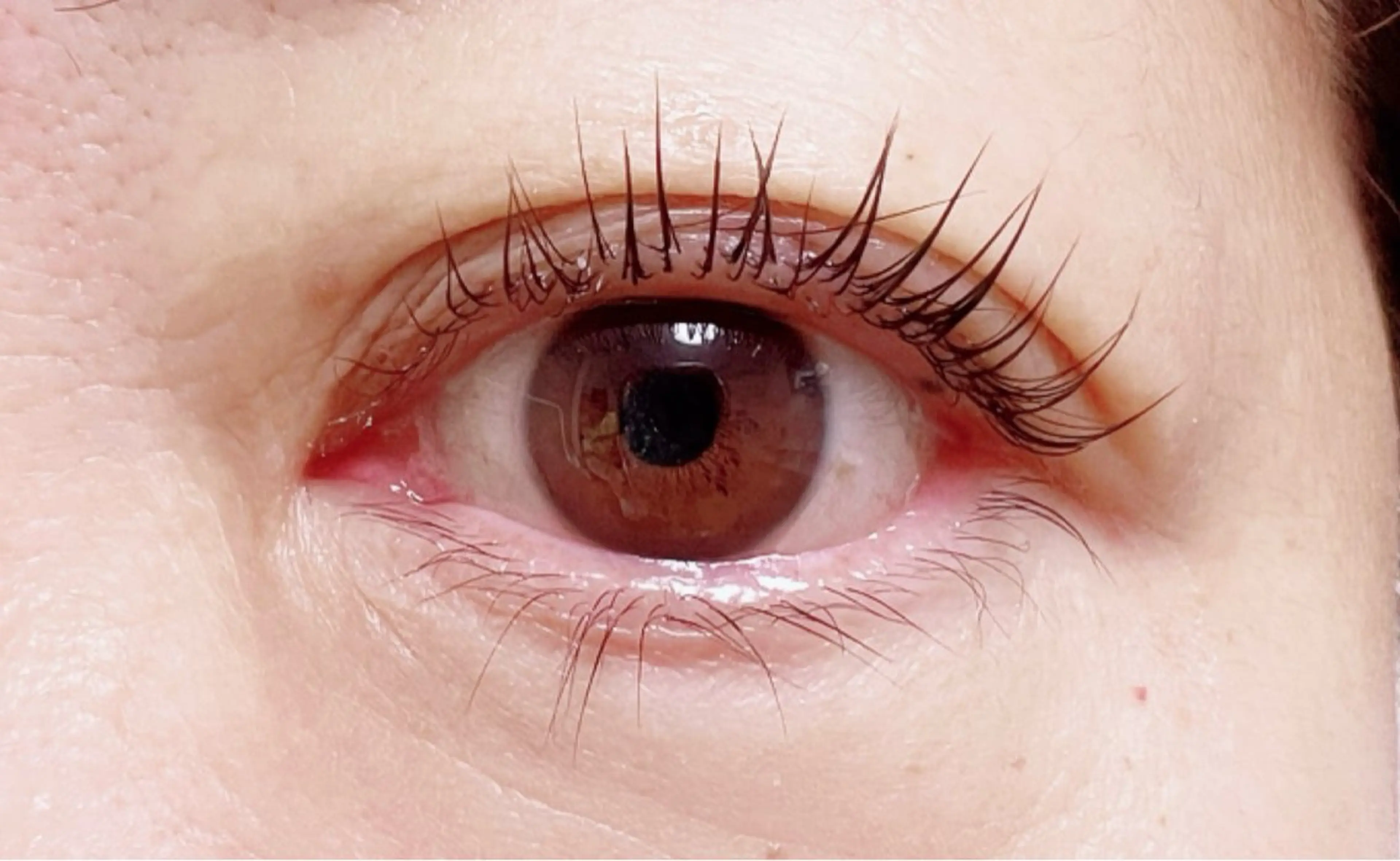 人気No.1🤍パリジェンヌラッシュリフト【ケラチン美容液＋コーティング】の写真