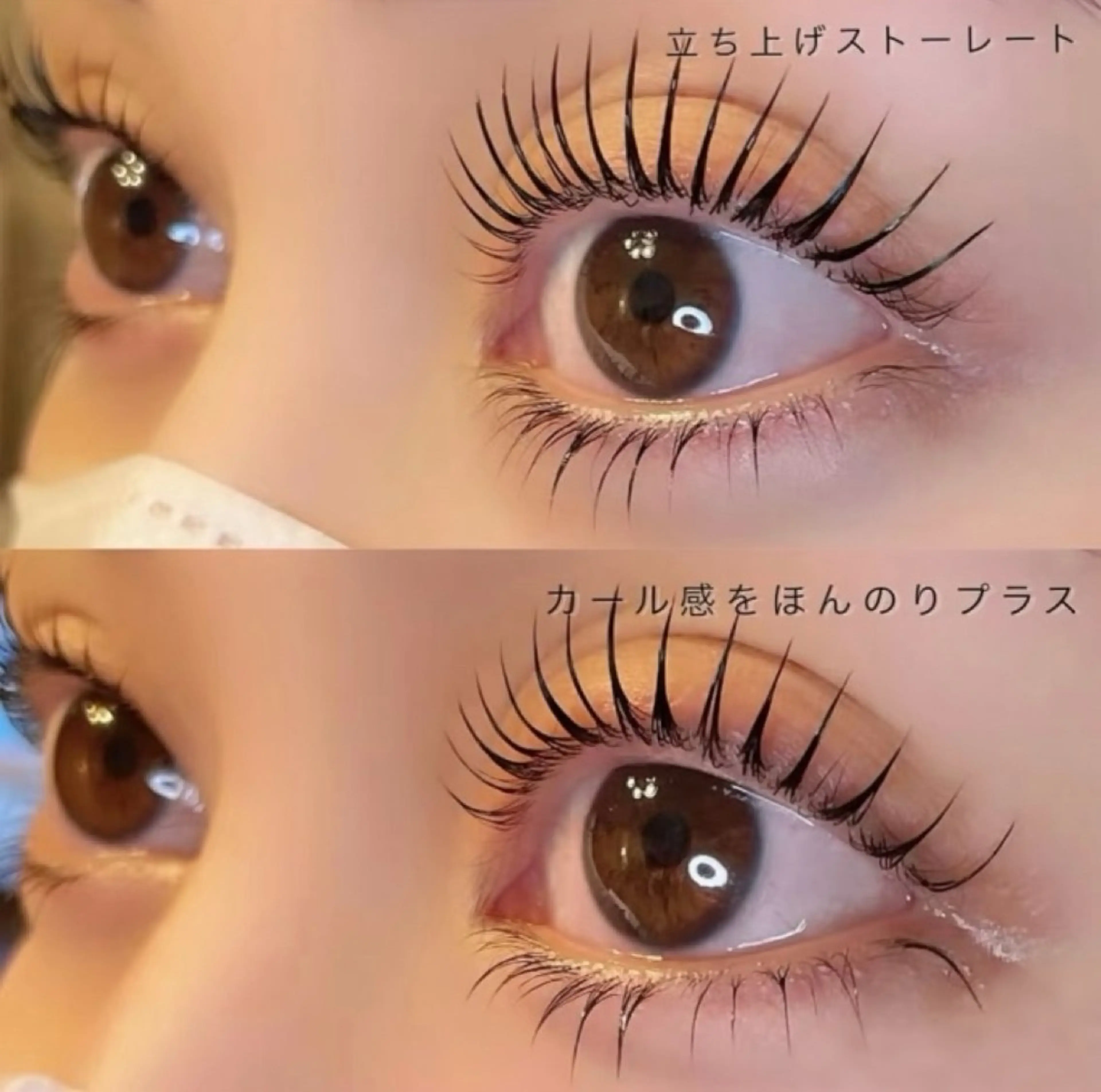 マツエク・マツパ APEX BEAUTYのマツエク・マツパデザイン