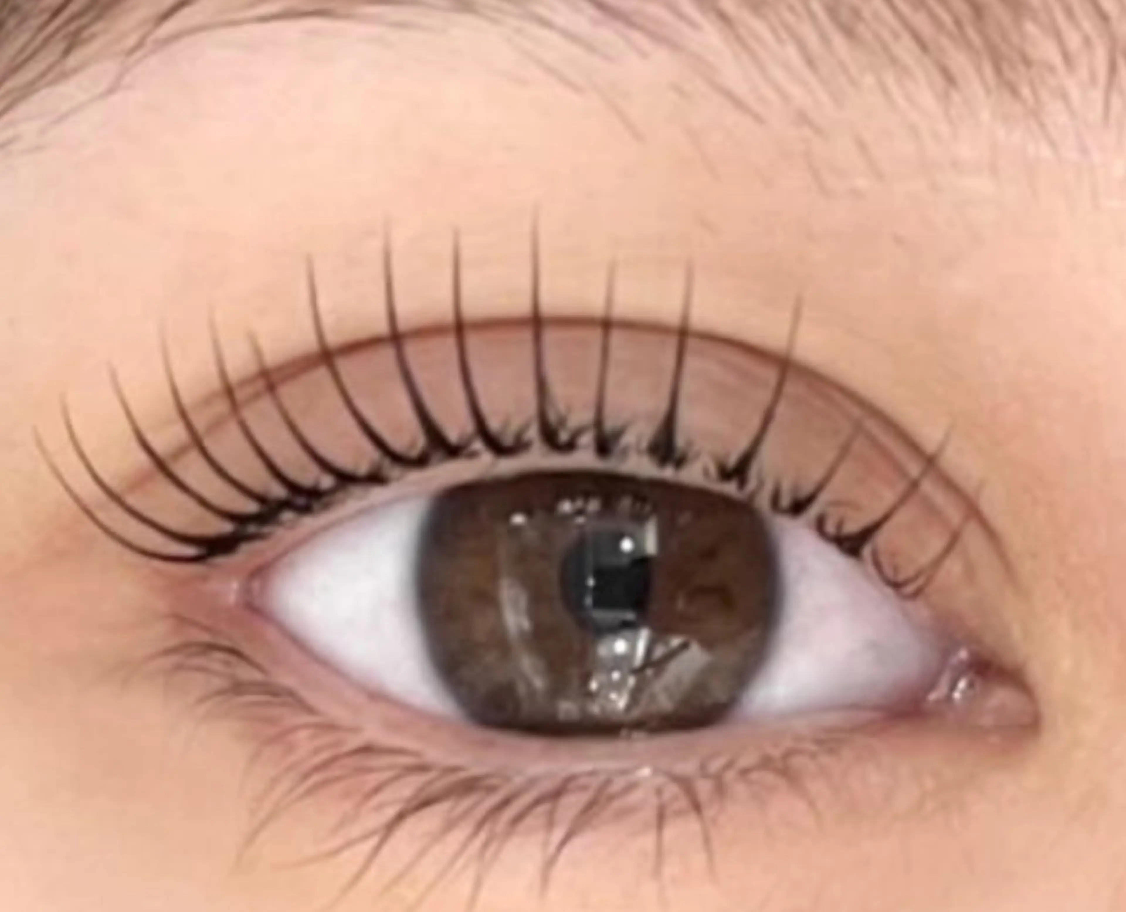 マツエク・マツパ Venus Beauty銀座のマツエク・マツパデザイン