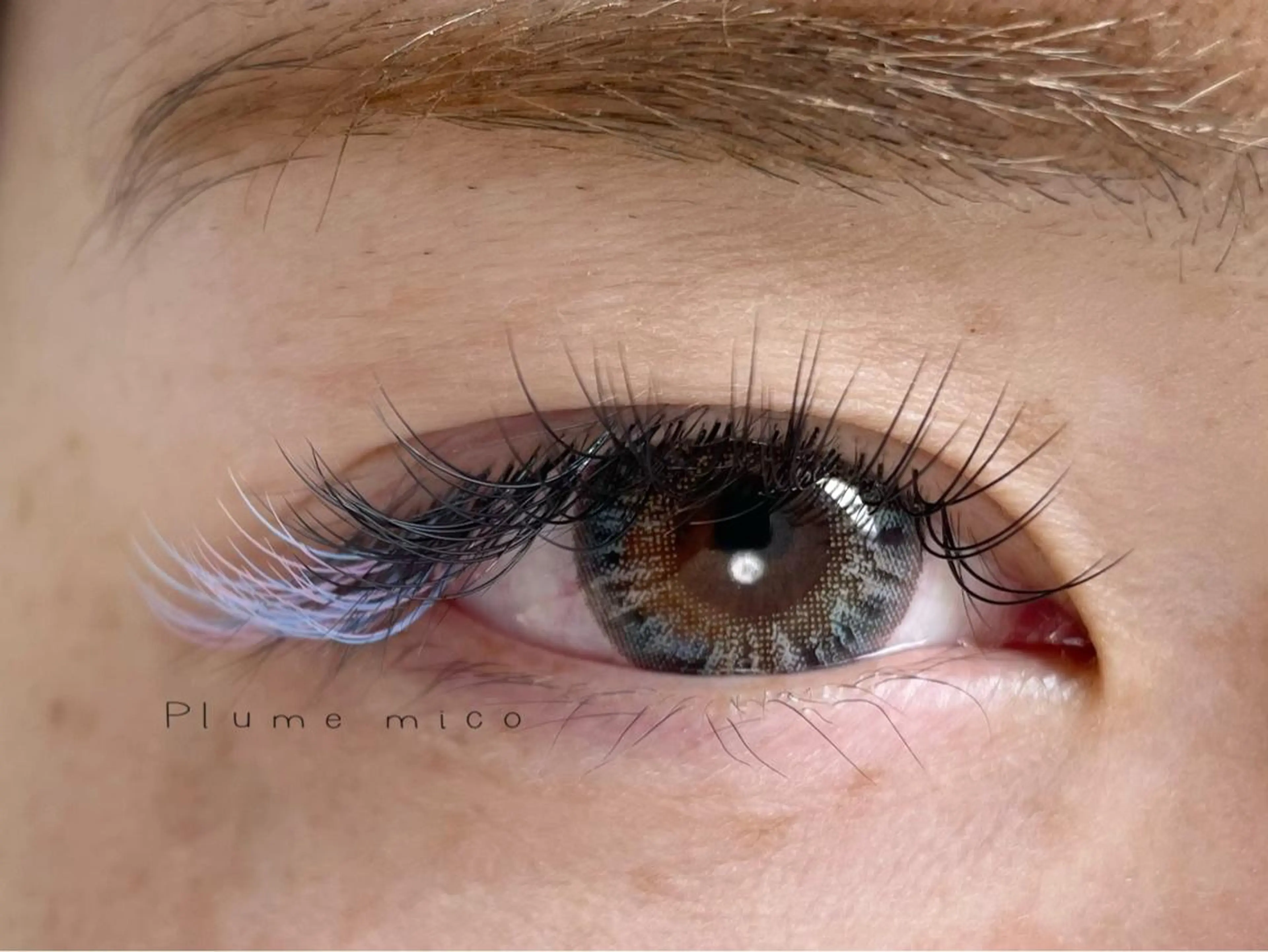 マツエク・マツパ カラーマツエク マツエク Plume micoのマツエク・マツパデザイン