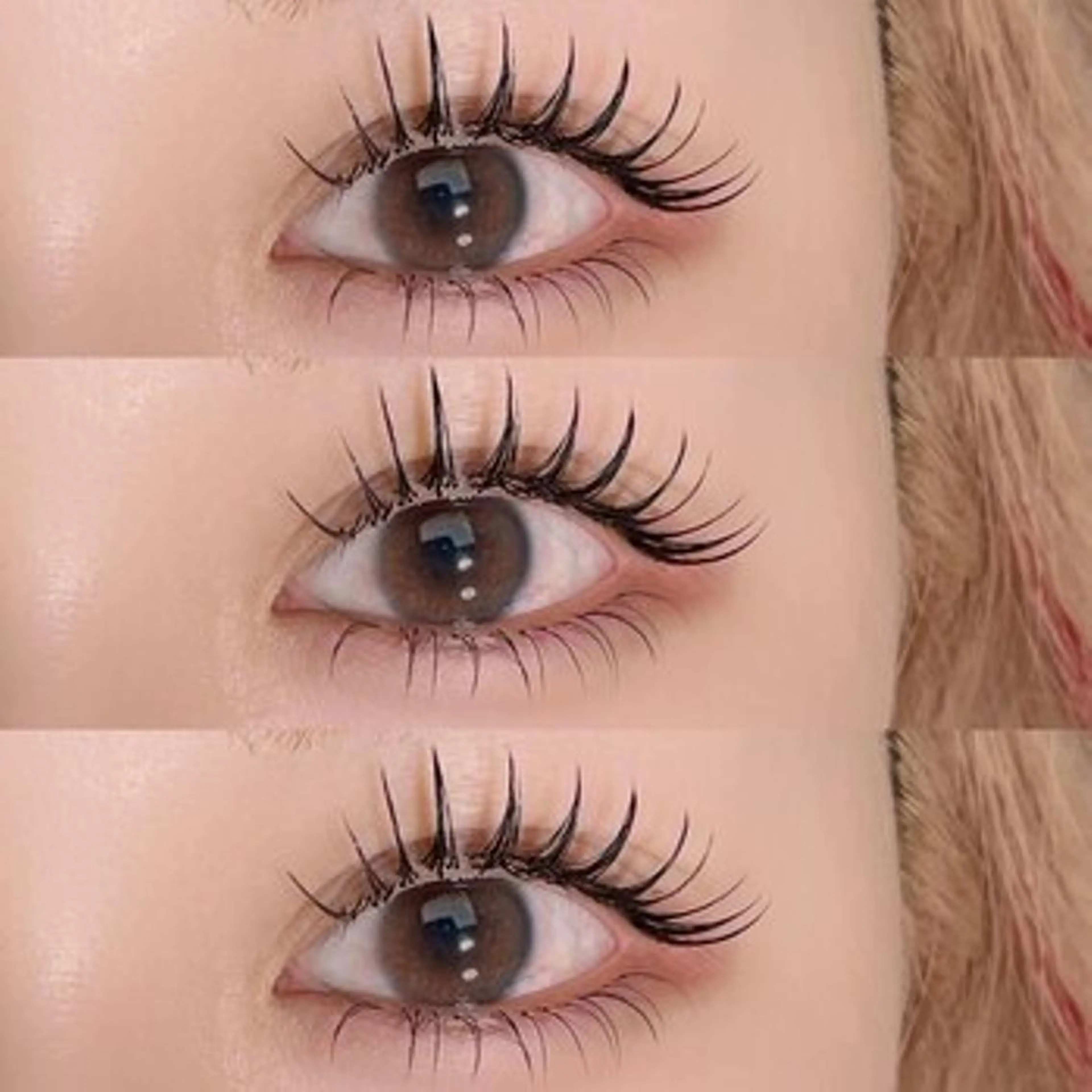 LEDフラットラッシュ上140本まで×下まつげエクステ30本最強セットメニュー✨の写真