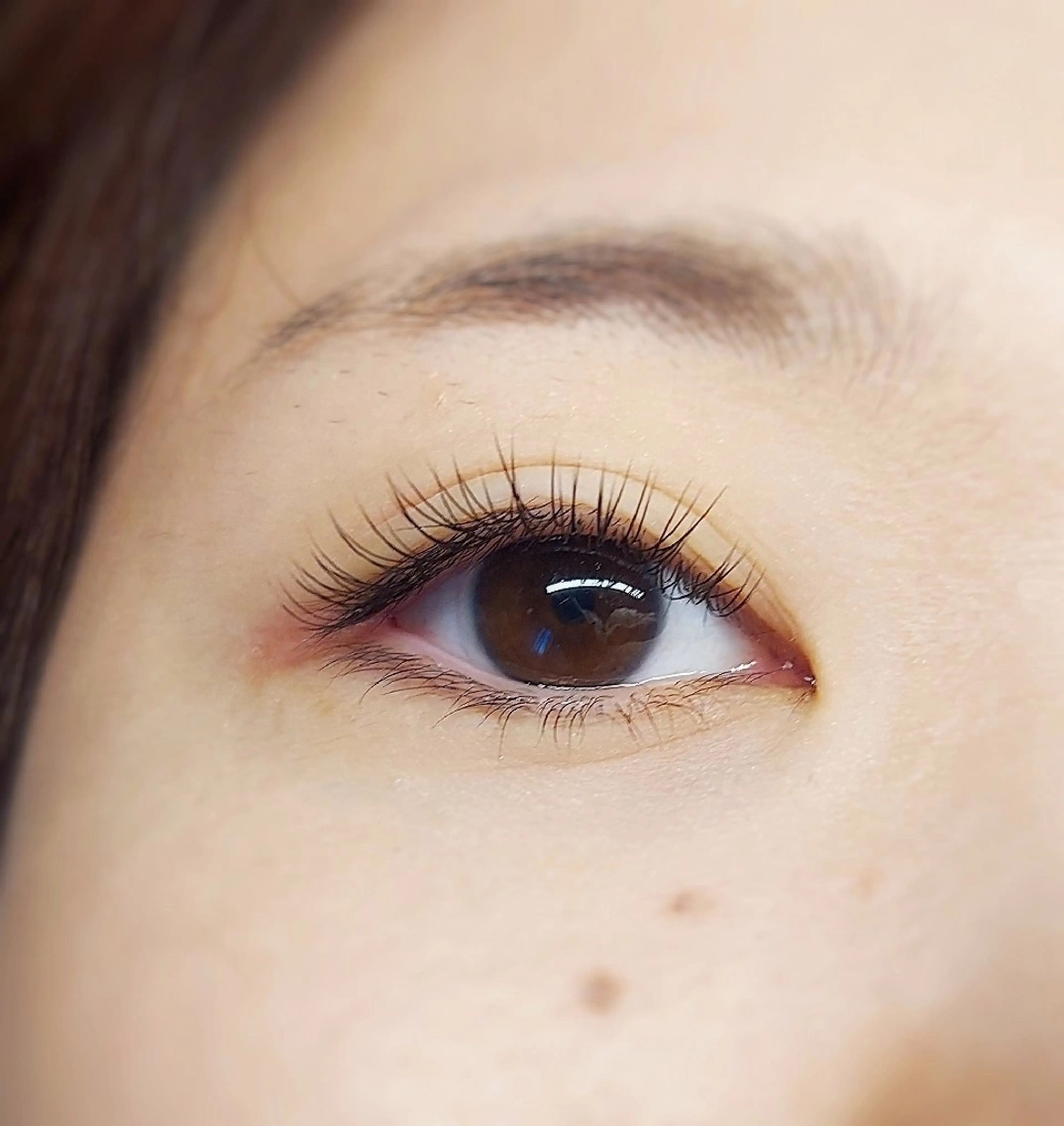 マツエク・マツパ フラットラッシュ マツエク U_la [ウーラ] 片岡の眉毛・アイブロウイメージ