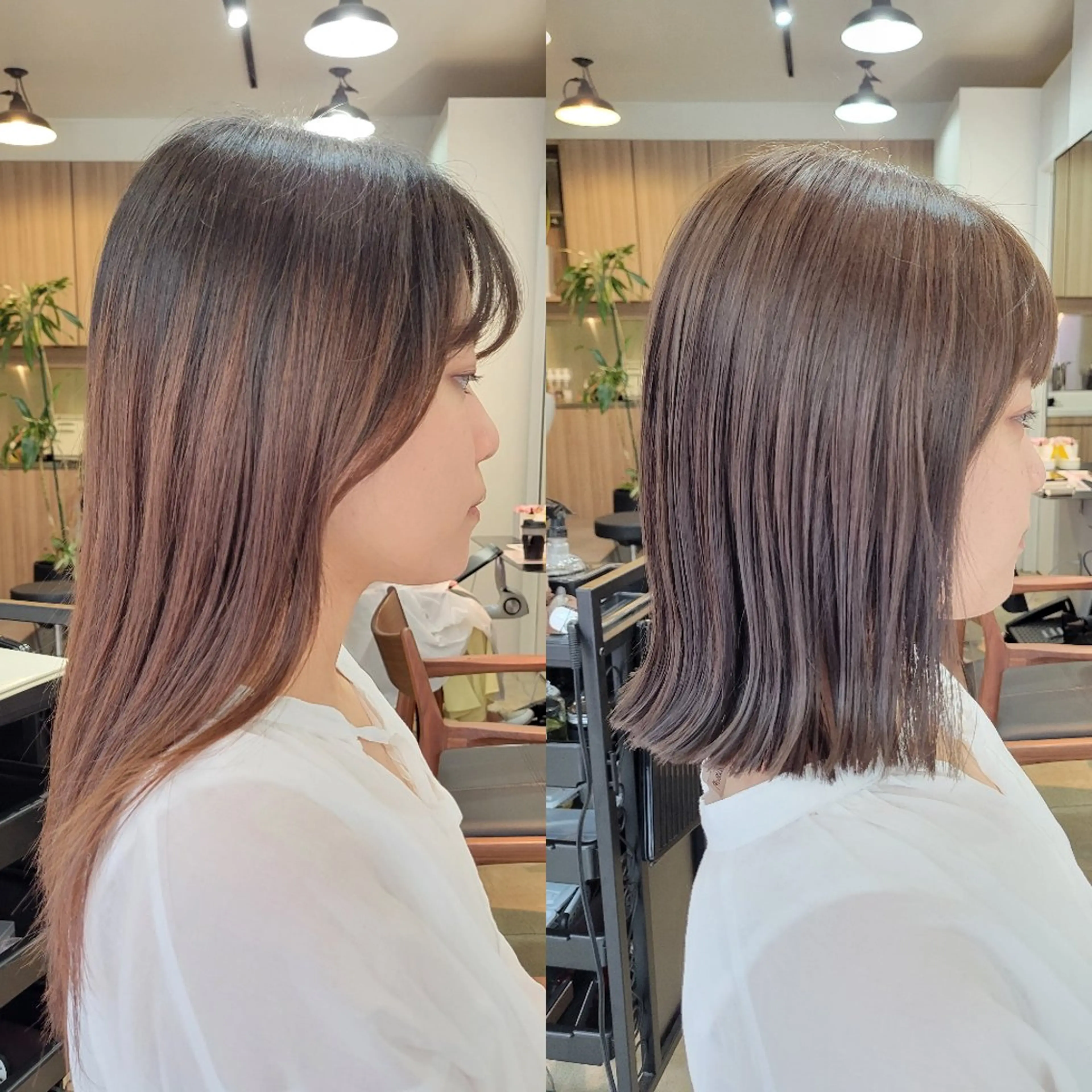 ミディアム アッシュ カット ヘアカラー トリートメント 野村 果音(カノン)のヘアスタイル