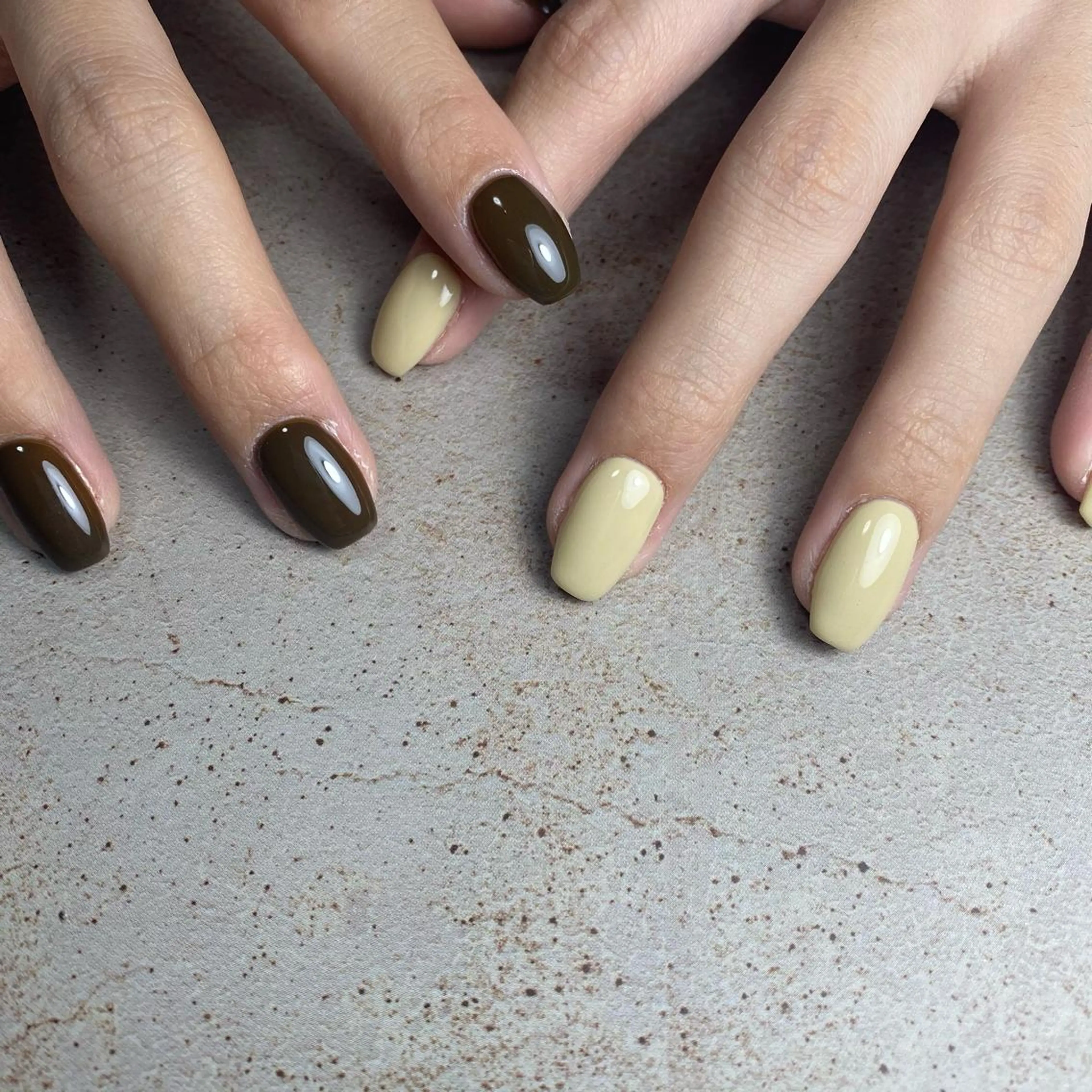 2カラー以上の写真