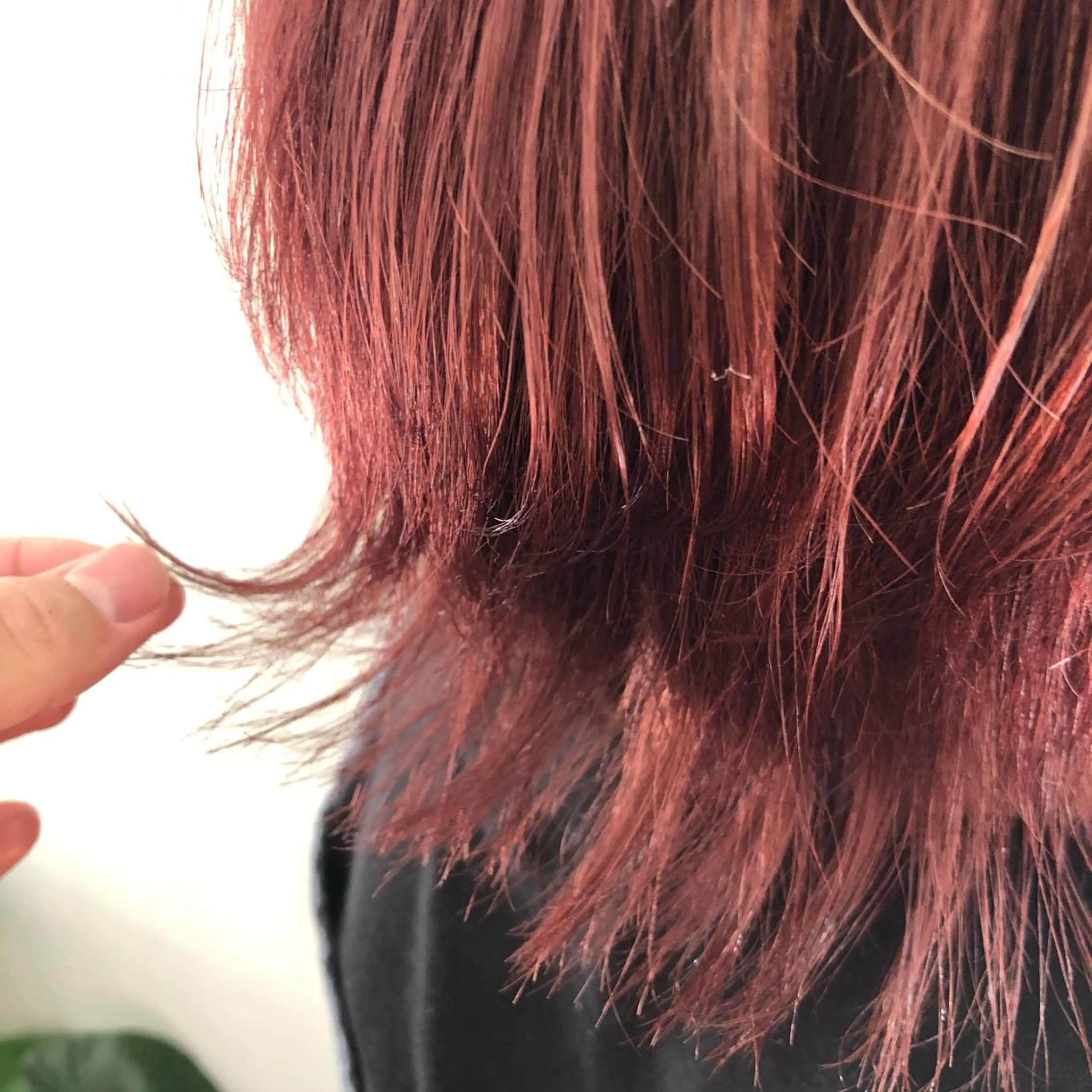 ショート カラー ブリーチ レッドカラー ヘアカラー 佐藤 悠生 メンズパーマ.カットのヘアスタイル