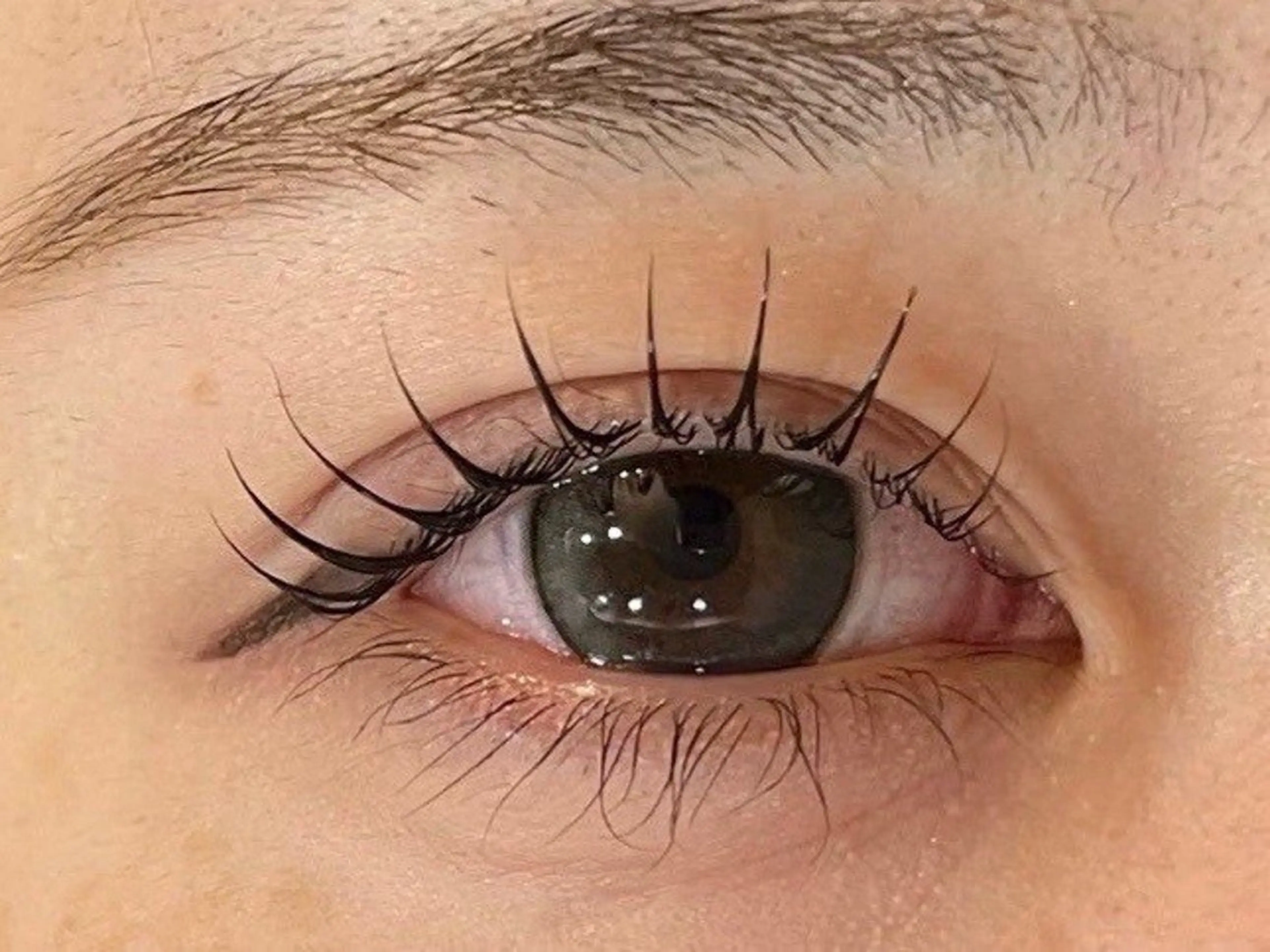 🫧うるツヤまつげパーマset（自まつ毛補修TR込み）の写真