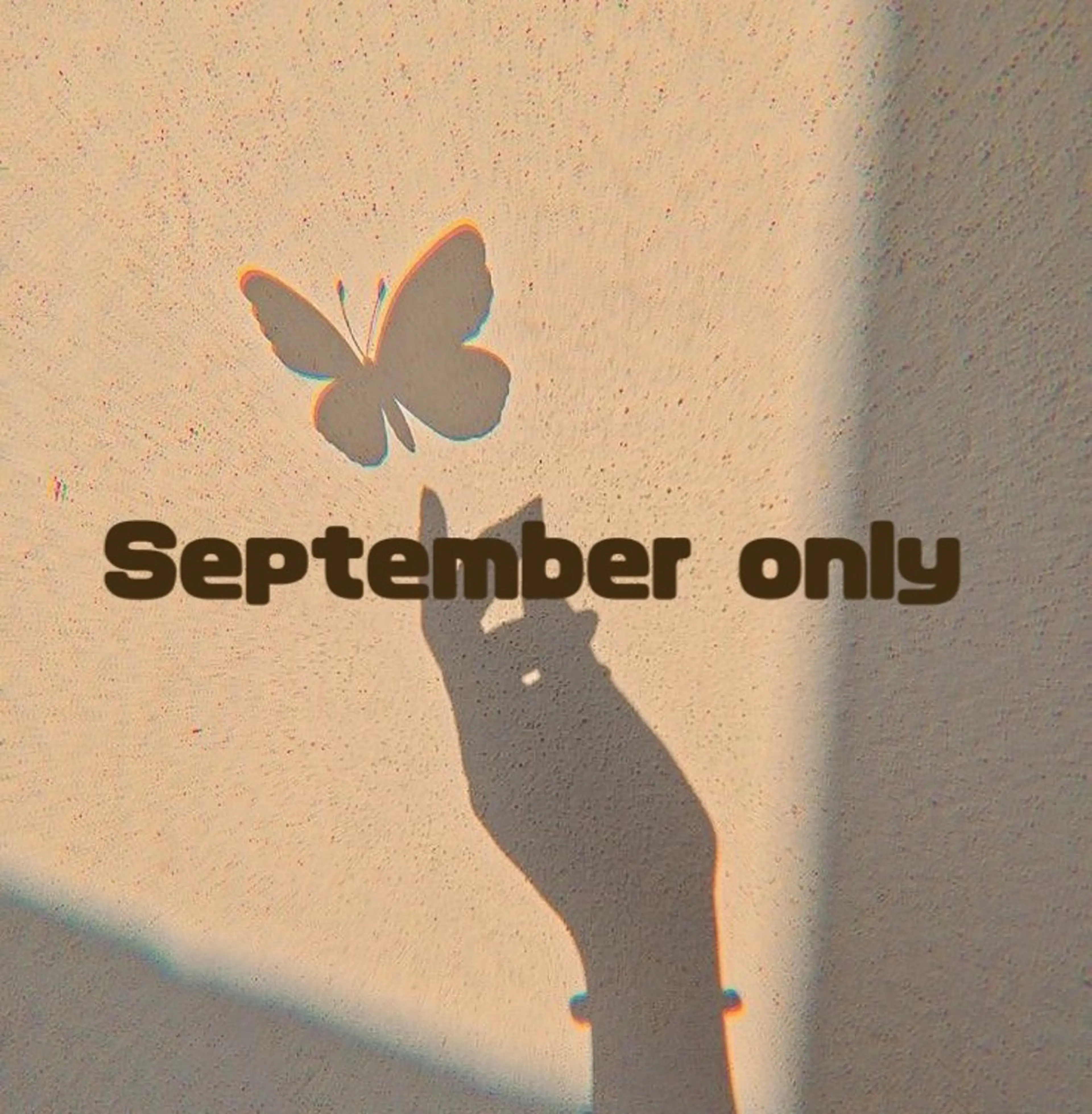 マツエク・マツパ 堀内 優衣💗パリジェンヌのマツエク・マツパデザイン