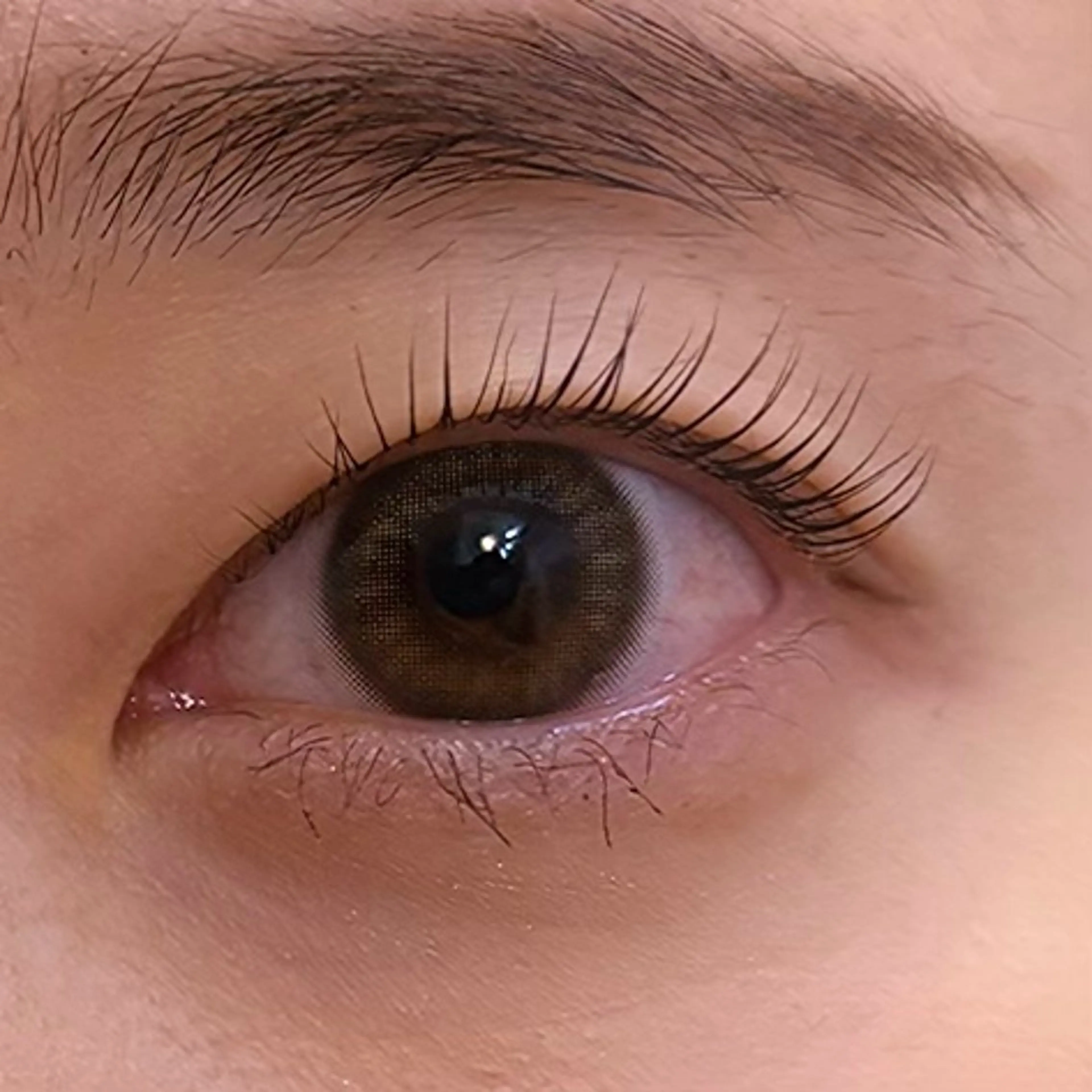 ☆練習モデル☆上まつげデザインパーマ☆※補足説明を必ずお読み下さい。の写真